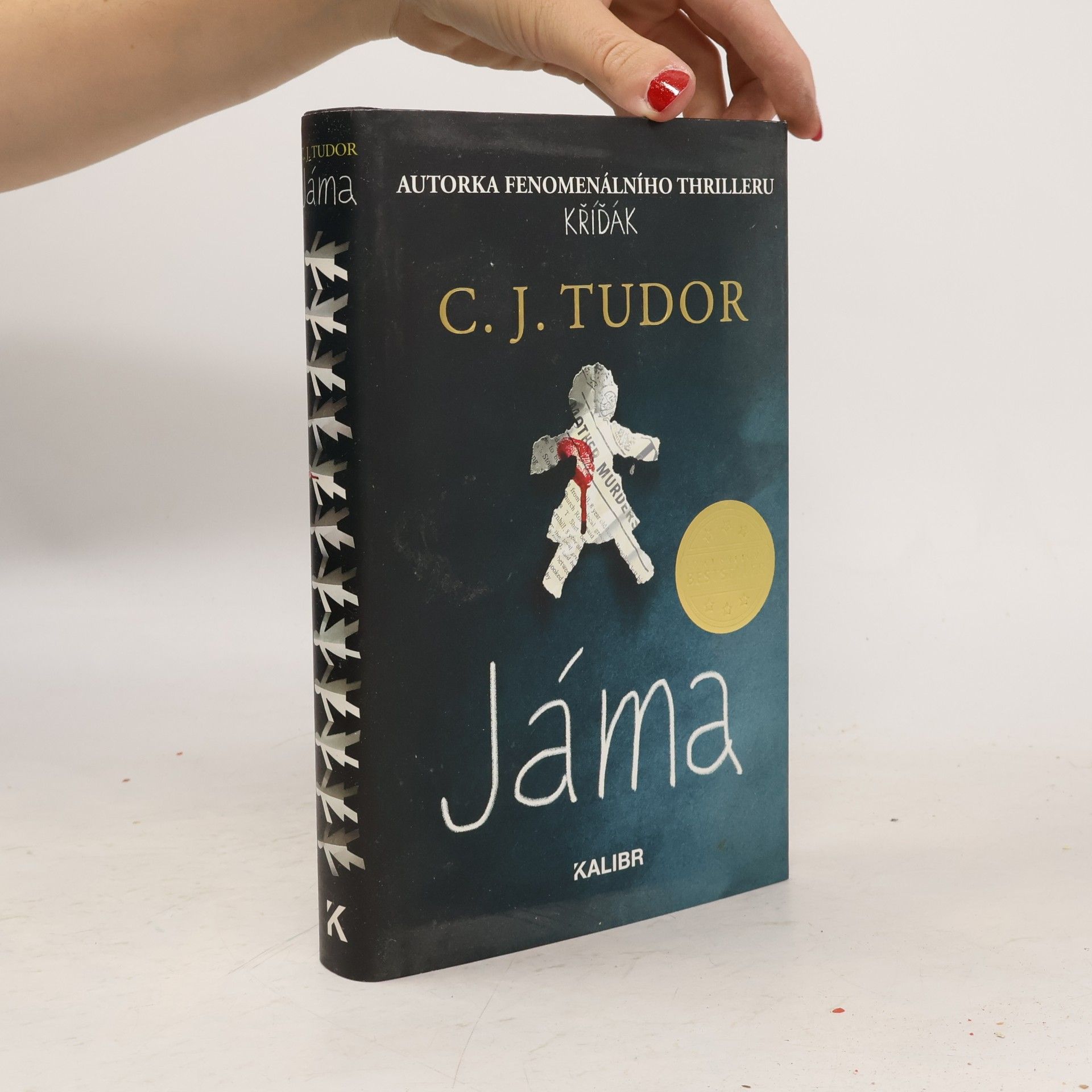 C. J. Tudor Jáma