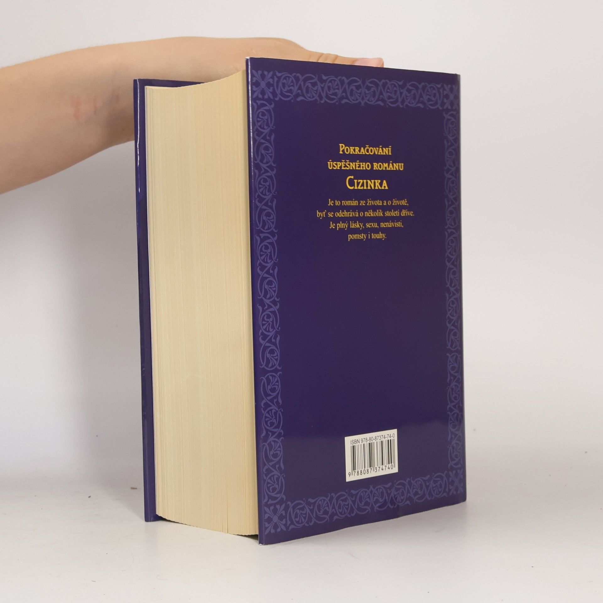 Diana Gabaldon Vážka v jantaru
