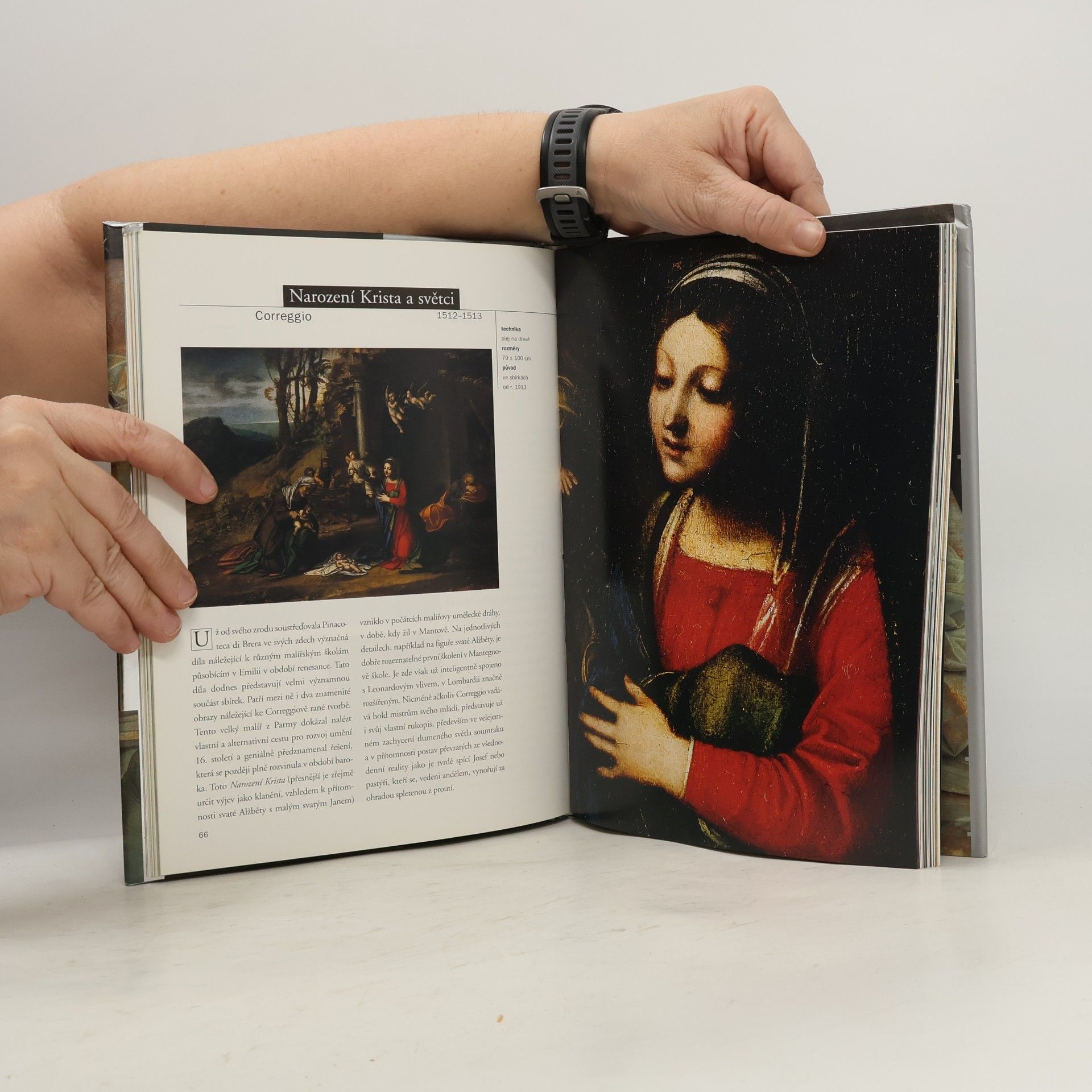 Stefano Zuffi Slavné galerie světa. Pinacoteca di Brera - Milán