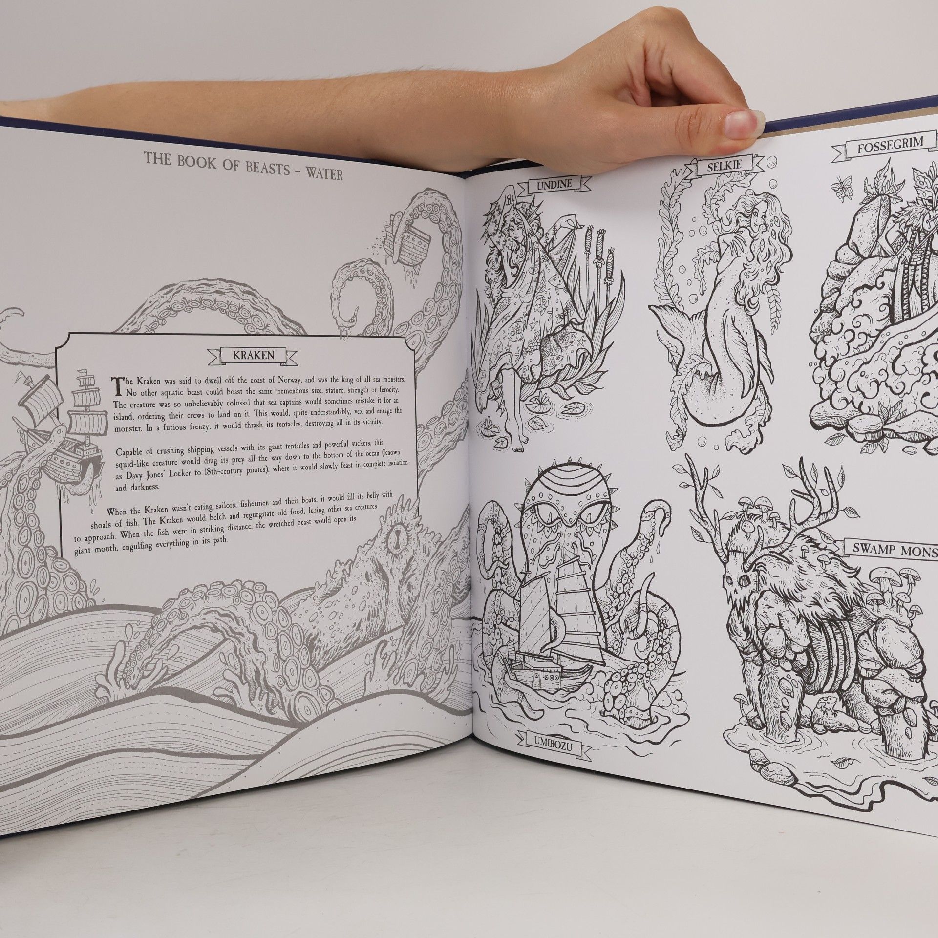 Angela Rizza The Book of Beasts