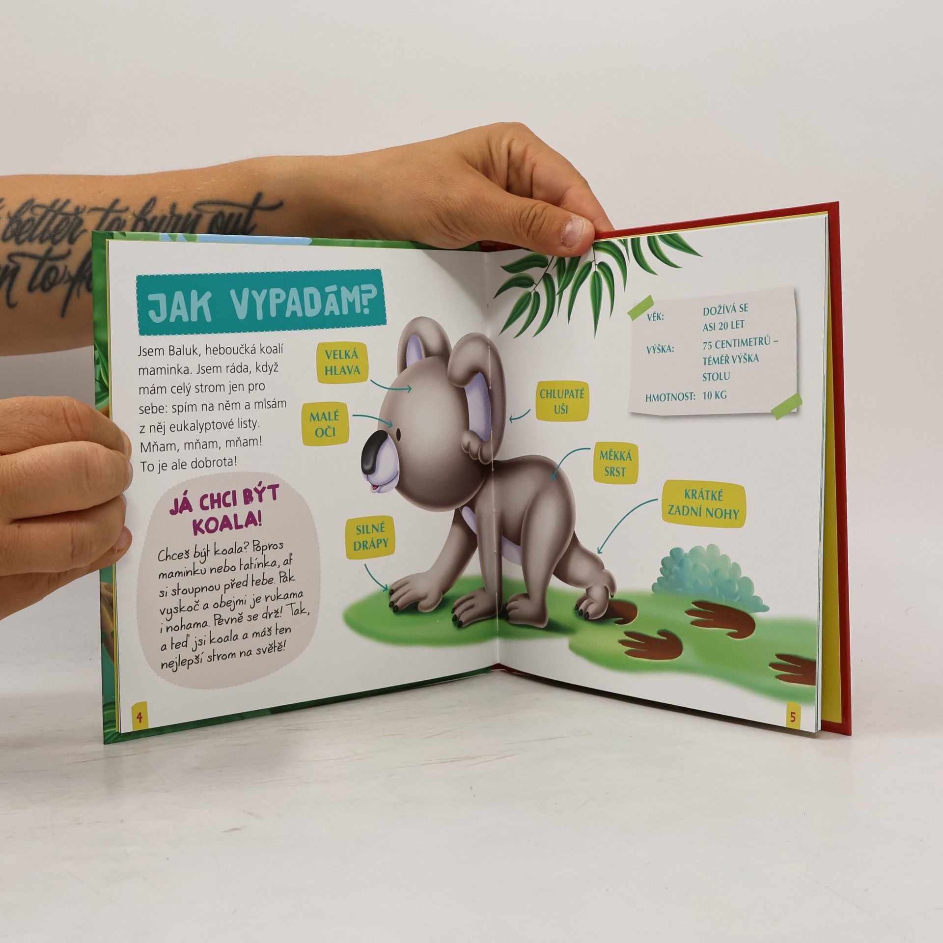 Various authors Koala Baluk
