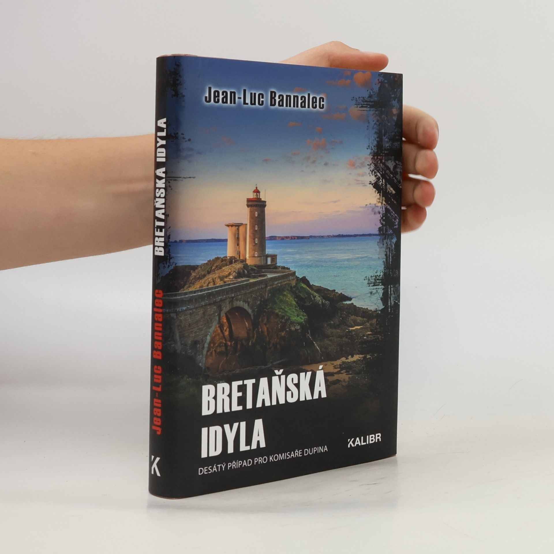 Jörg Bong Bretaňská idyla : desátý případ pro komisaře Dupina