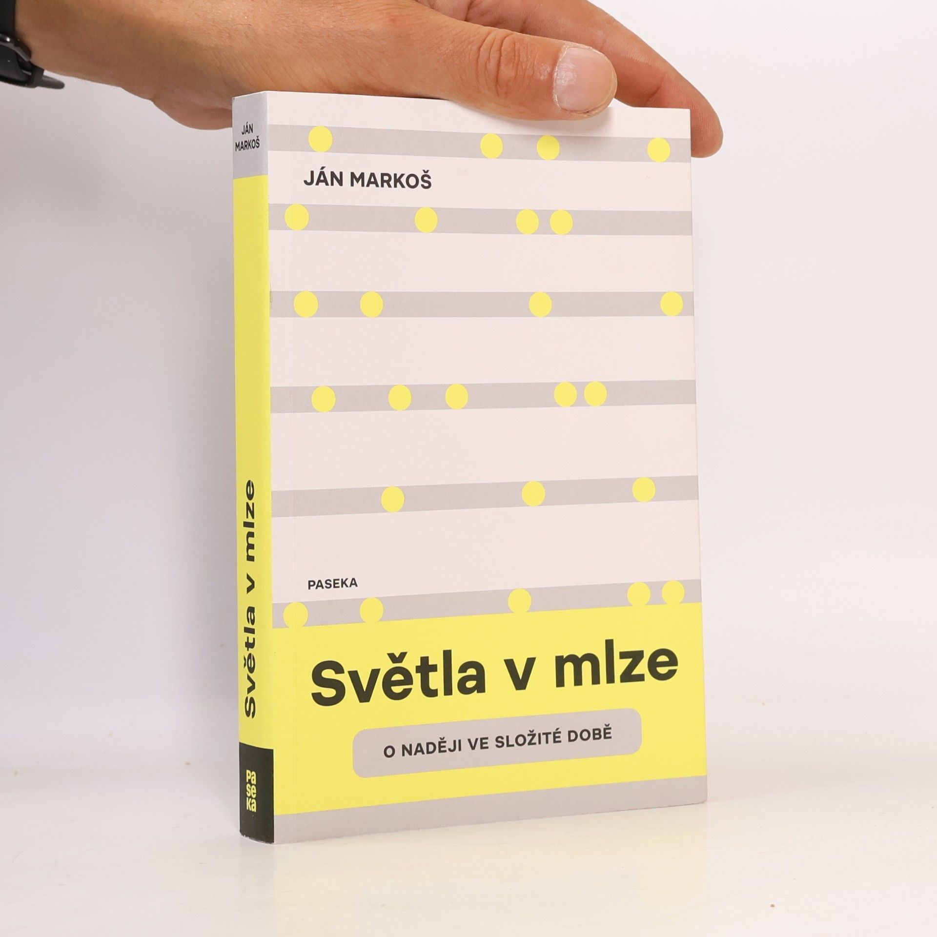 Miroslav Hlaučo Světla v mlze