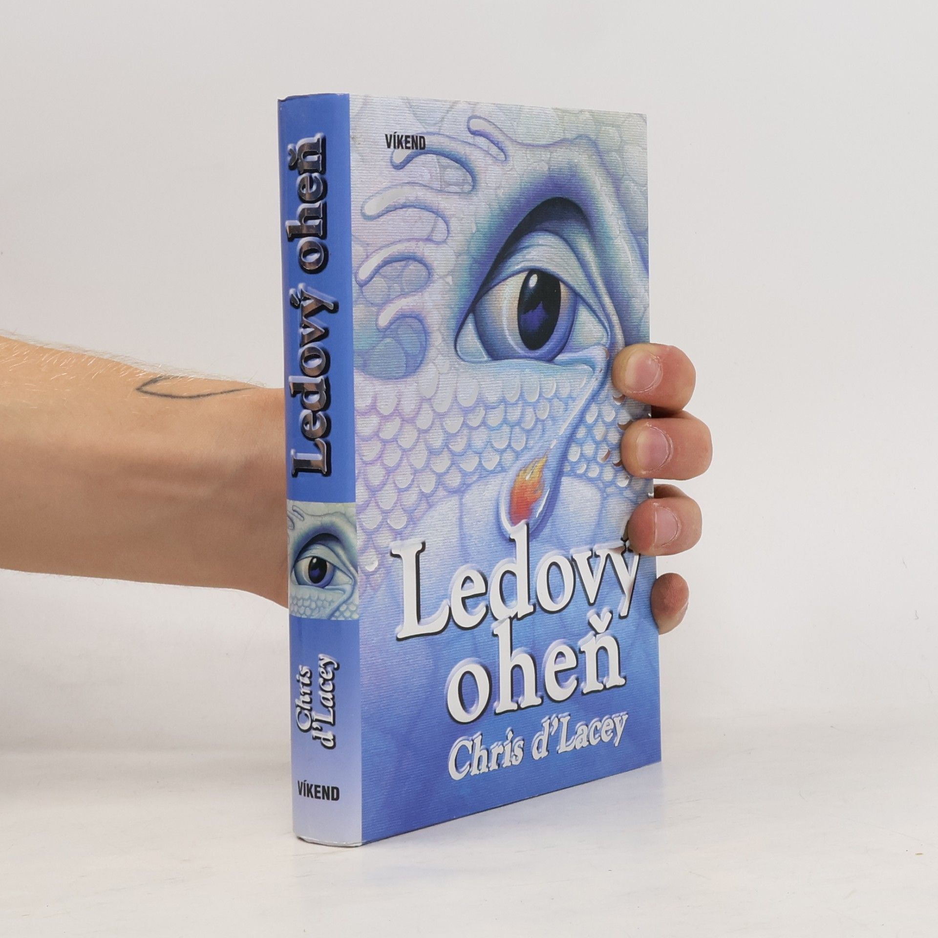 Chris d'Lacey Ledový oheň