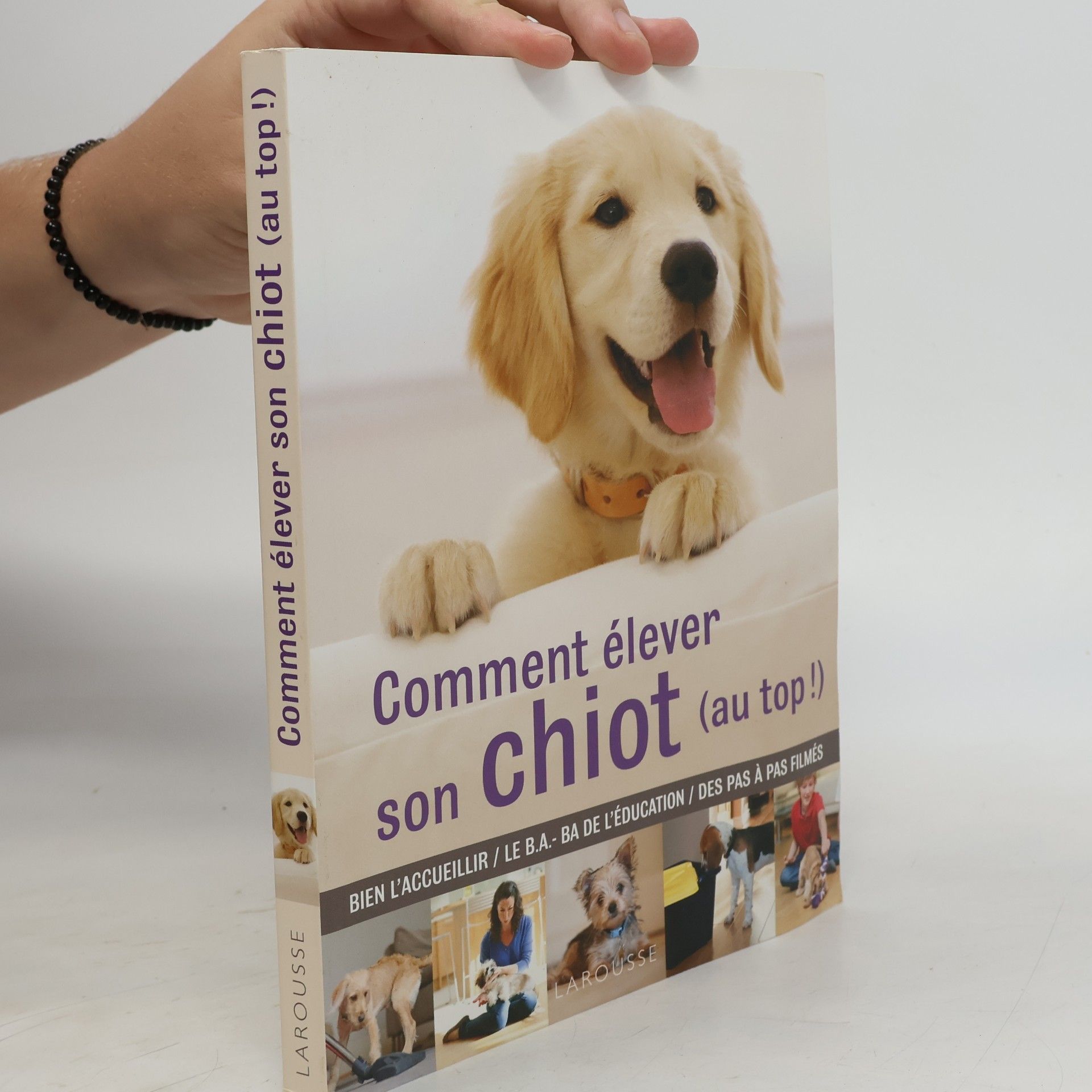 Comment élever son chiot (au top!)