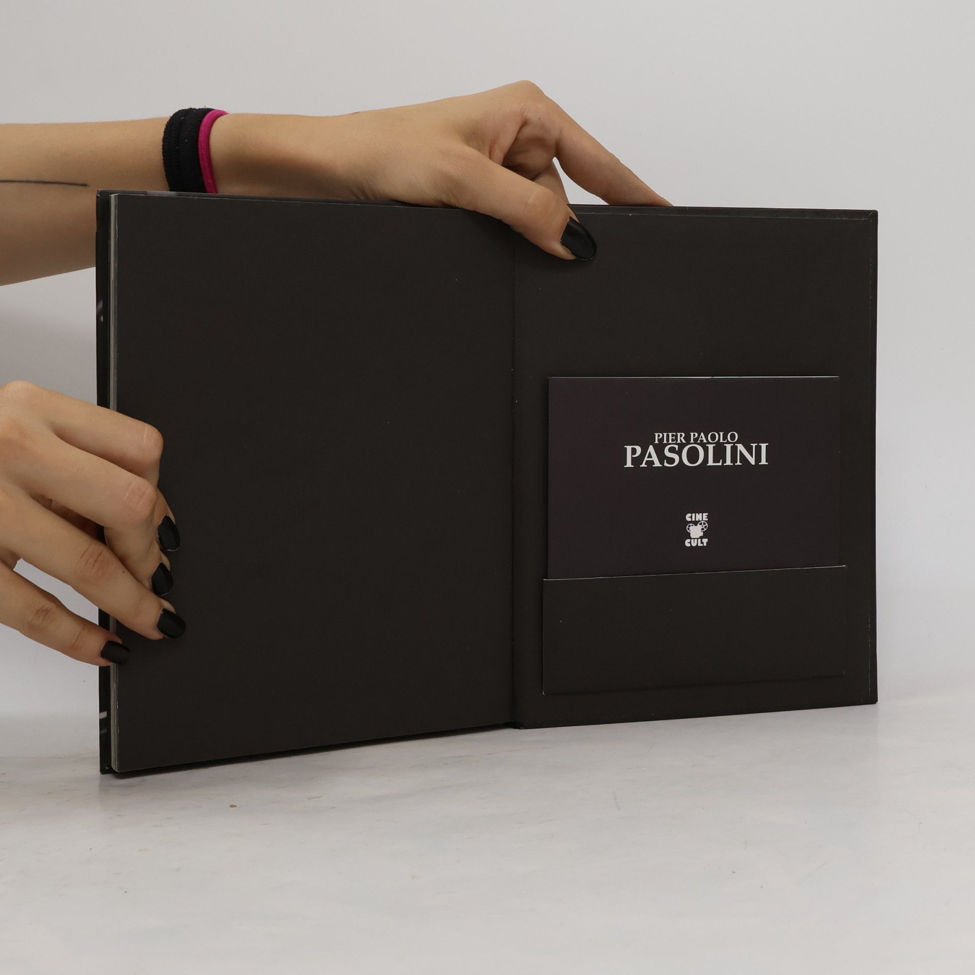 Auteurscollectief Pier Paolo Pasolini