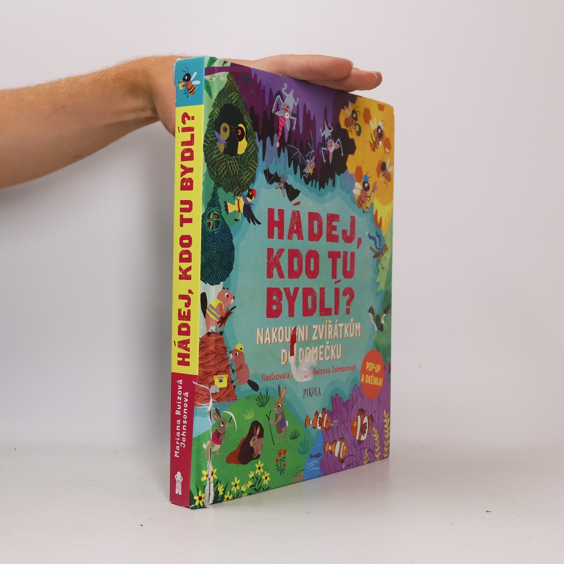 Ruth Symons Hádej, kdo tu bydlí? - Nakoukni zvířátkům do domečku
