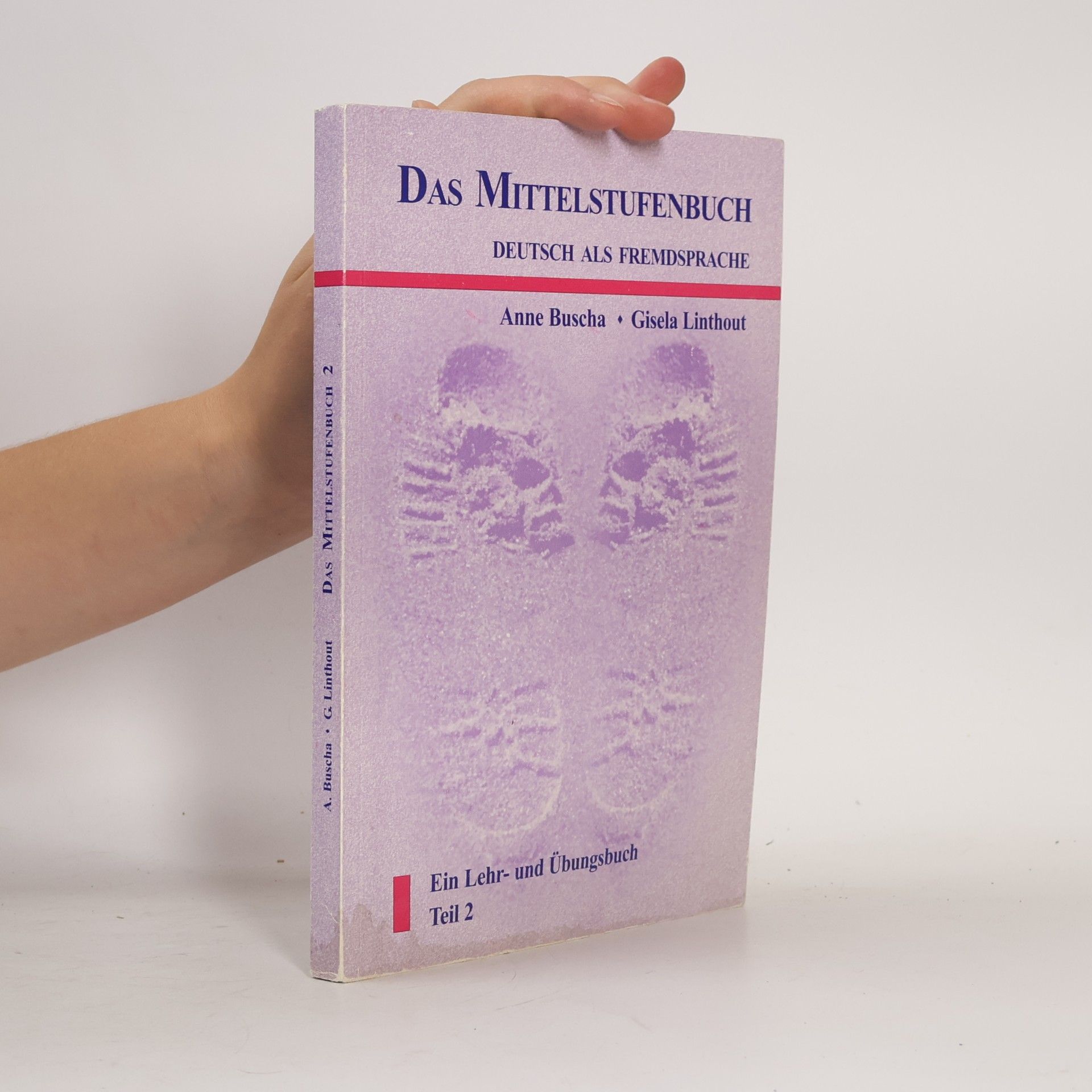 Kolektív autorov Das Mittelstufenbuch - Deutsch als Fremdsprache