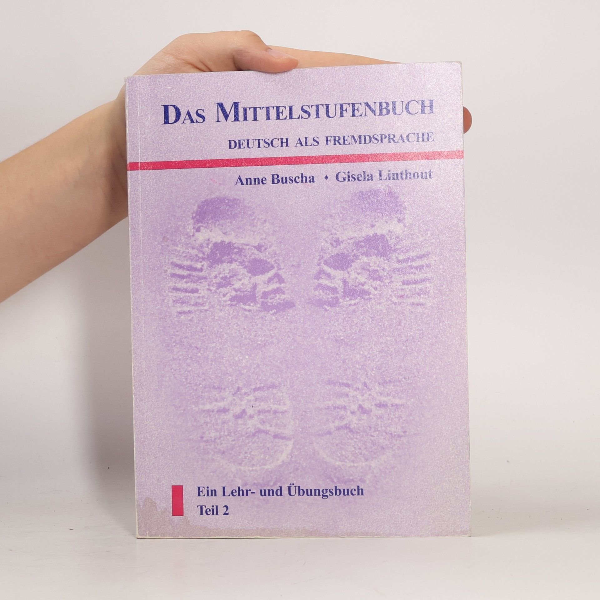 Das Mittelstufenbuch - Deutsch als Fremdsprache