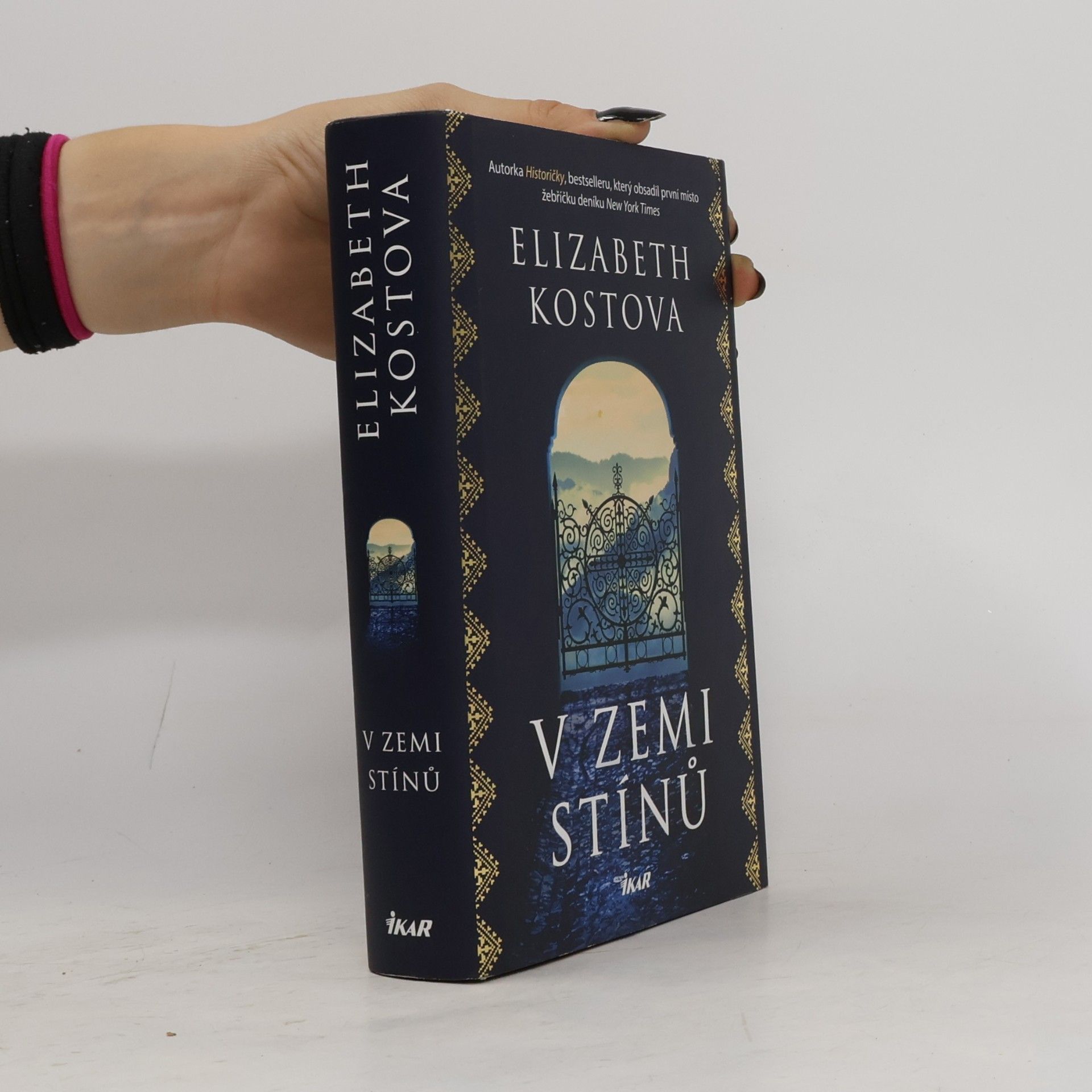 Elizabeth Kostova V zemi stínů