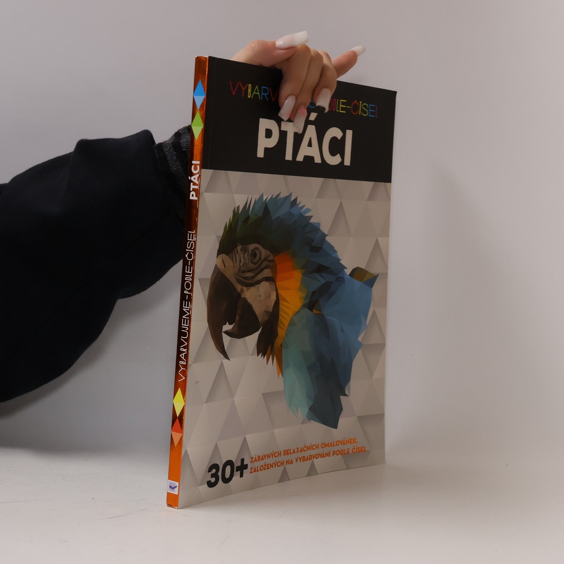 Autorenkollektiv Ptáci – Vybarvujeme podle čísel