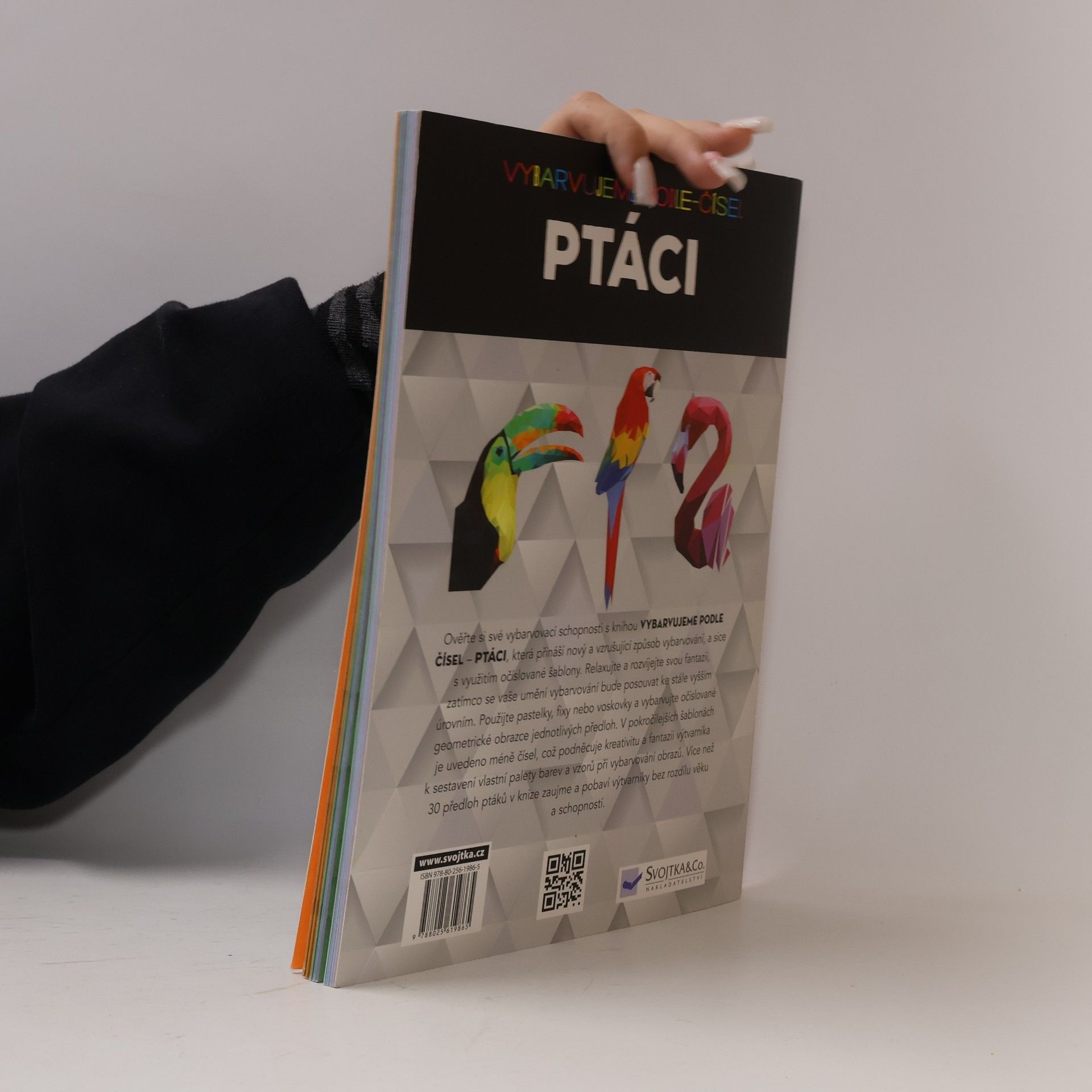 kolektiv Ptáci – Vybarvujeme podle čísel