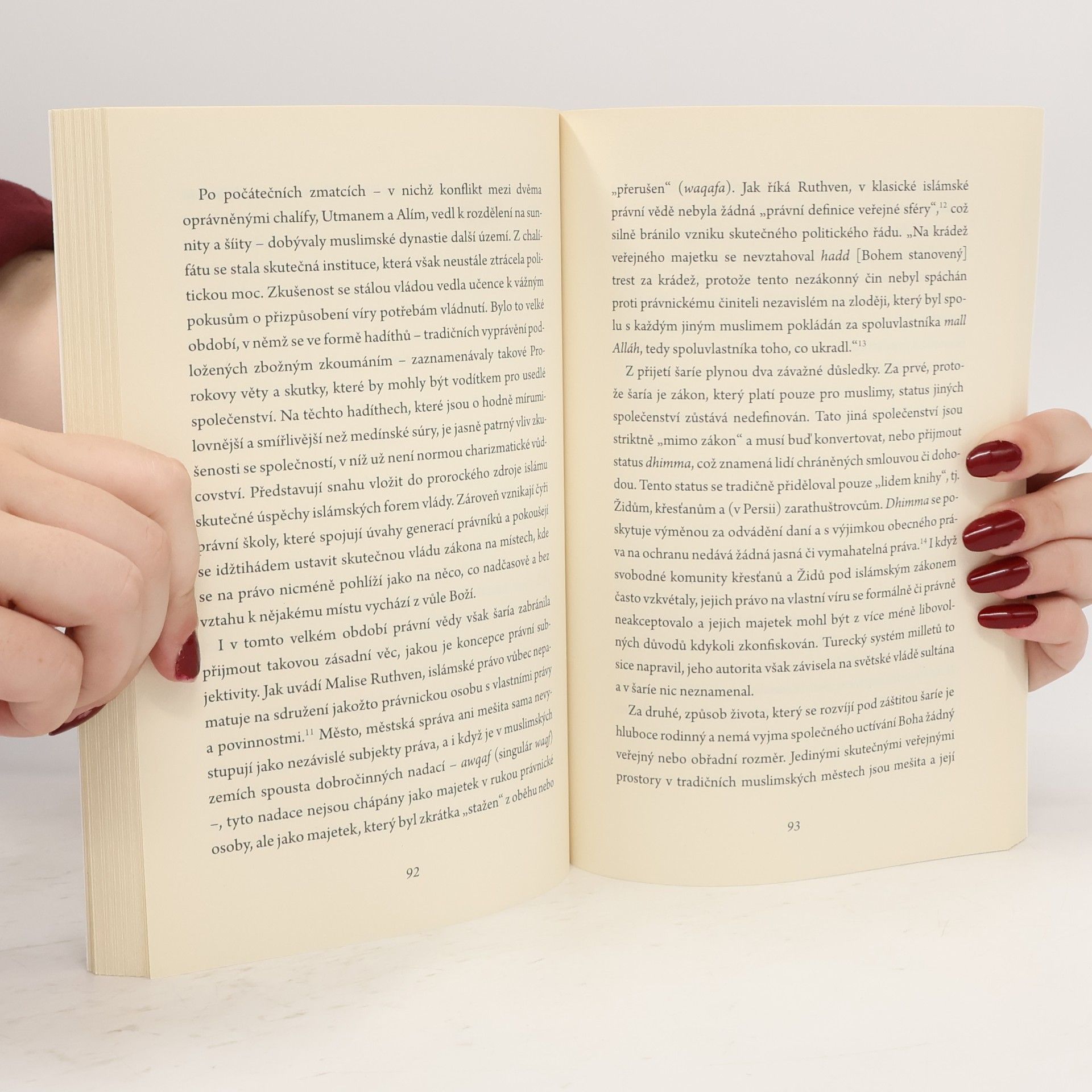 Roger Scruton Západ a ti druzí : globalizace a teroristická hrozba