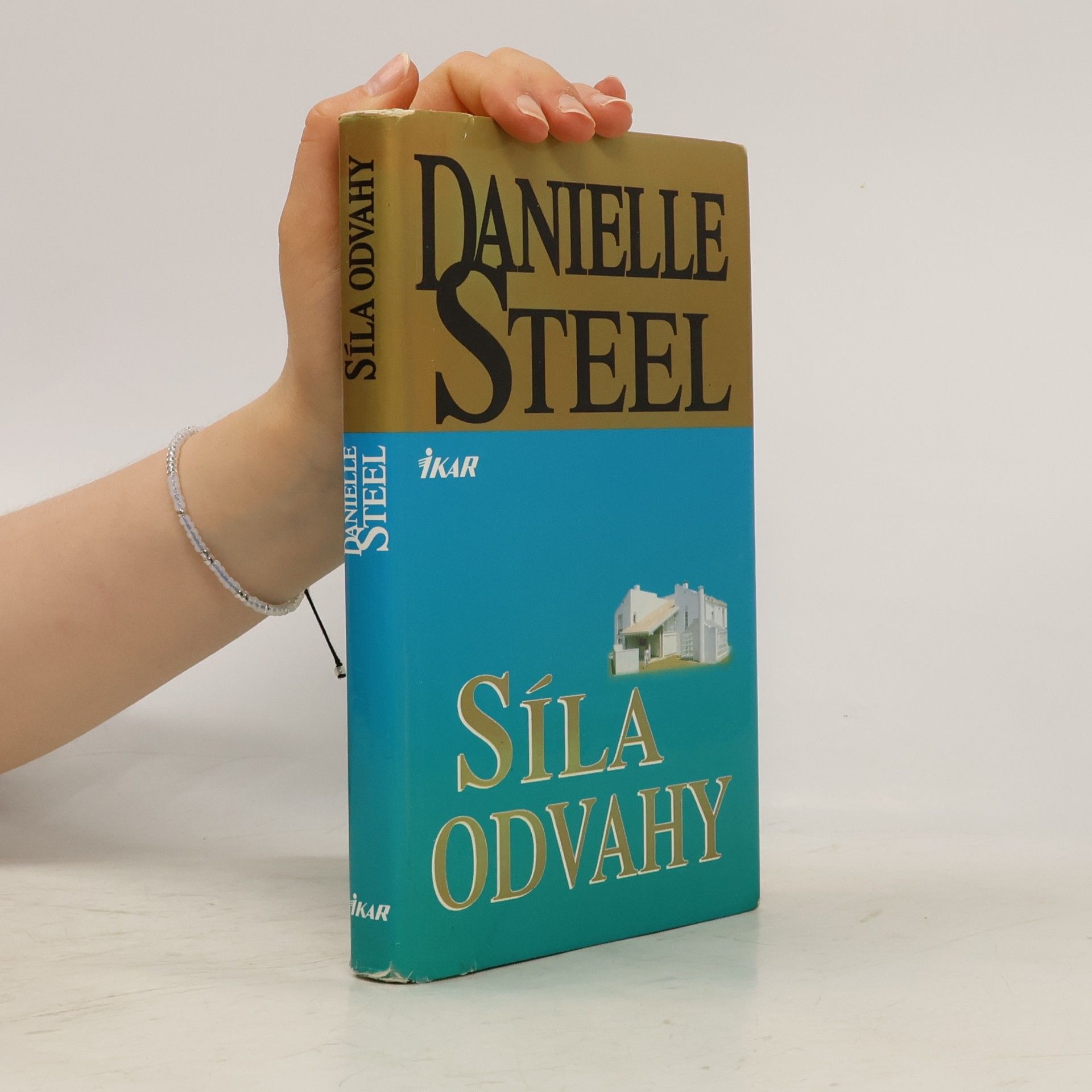 Danielle Steel Síla odvahy