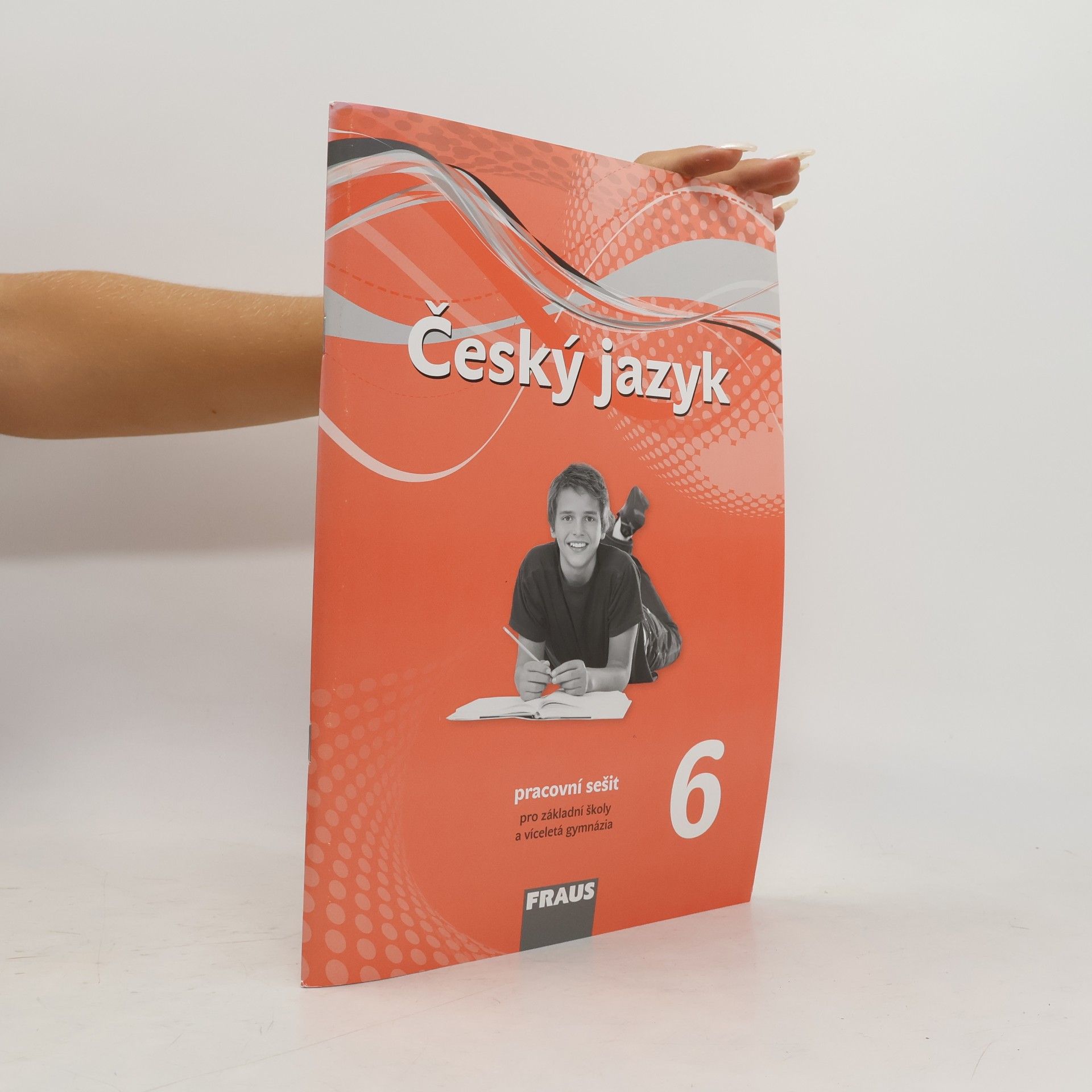 Martin Prošek Český jazyk 6 : pracovní sešit : pro základní školy a víceletá gymnázia
