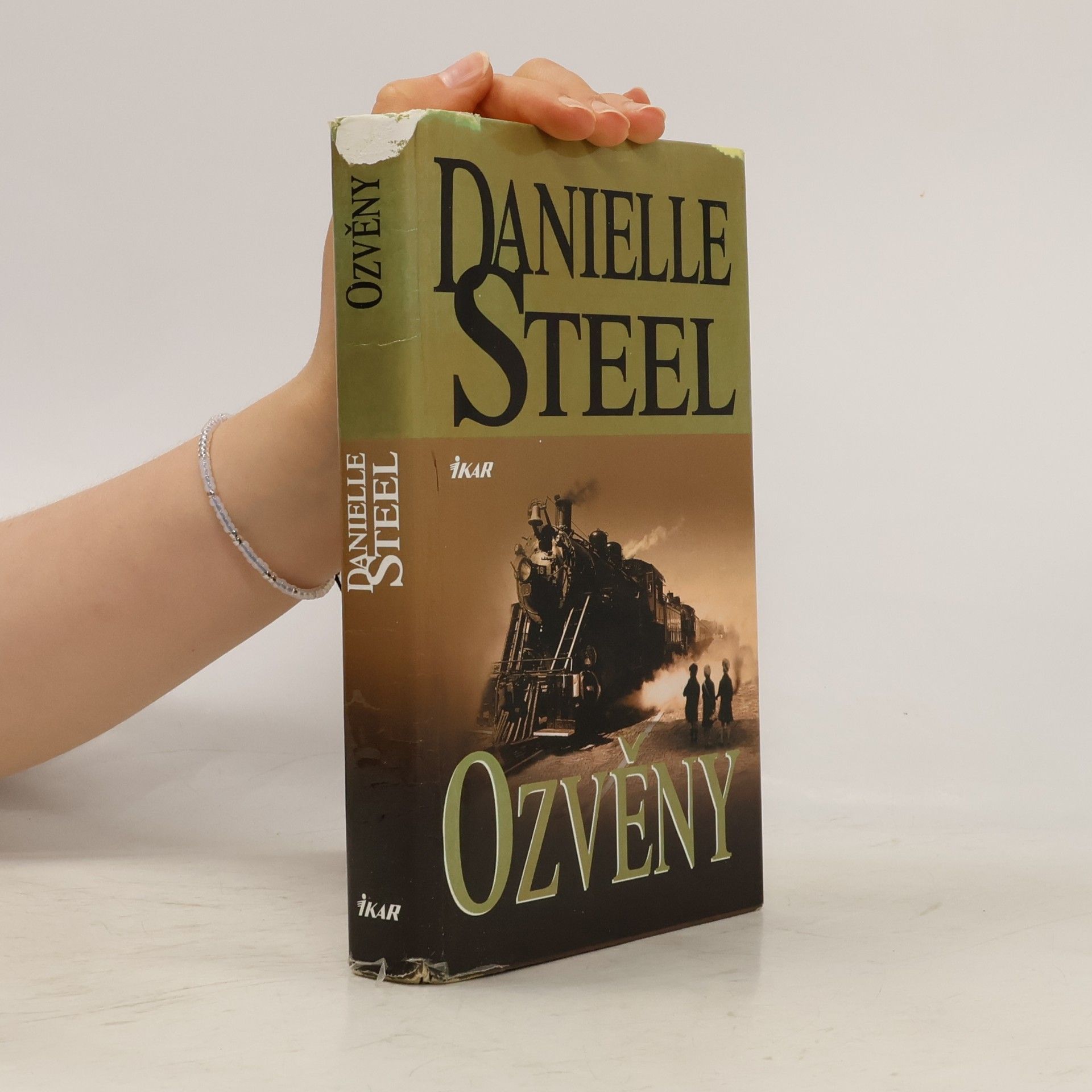 Danielle Steel Ozvěny