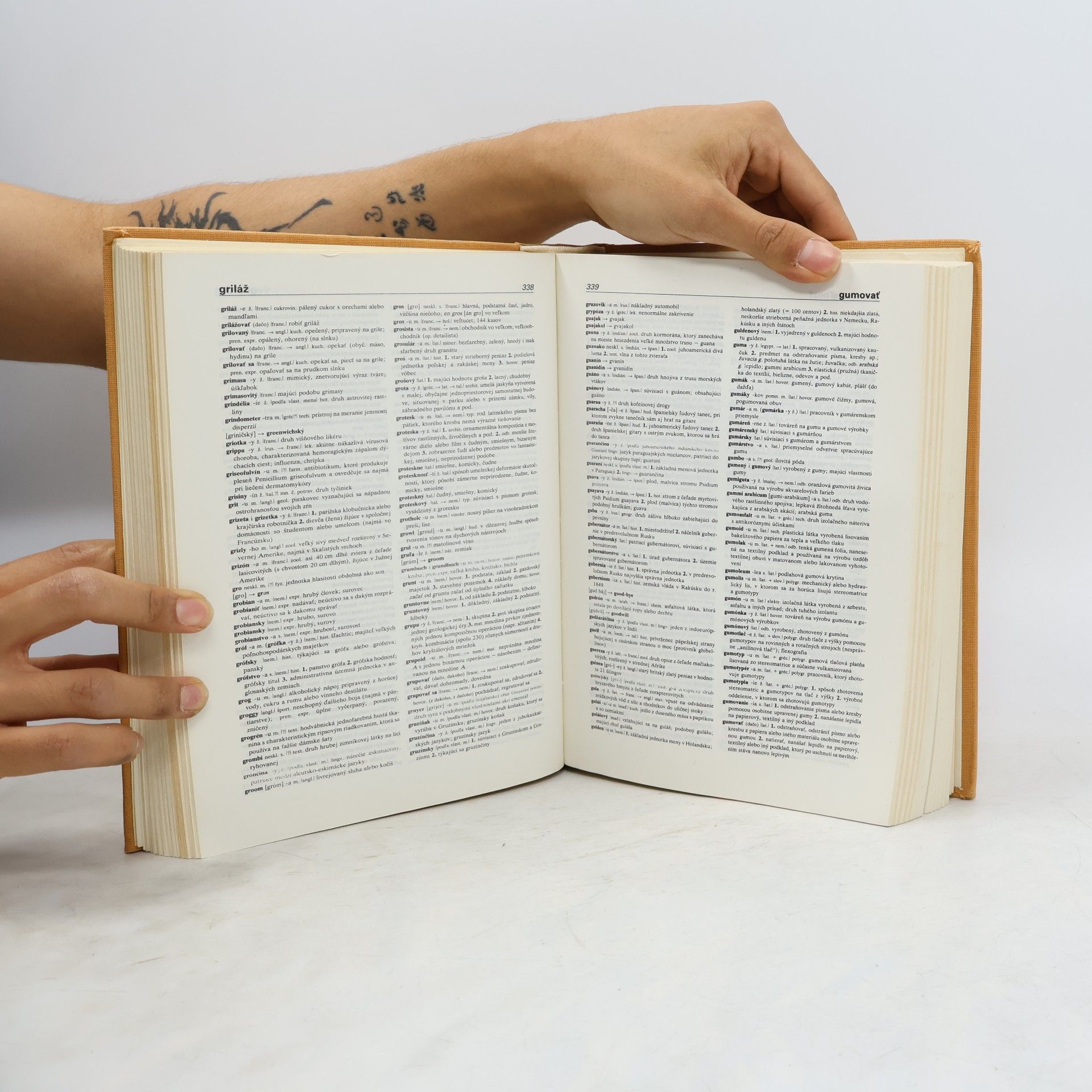 M. Ivanová Šalingová Slovník cudzích slov A/Z