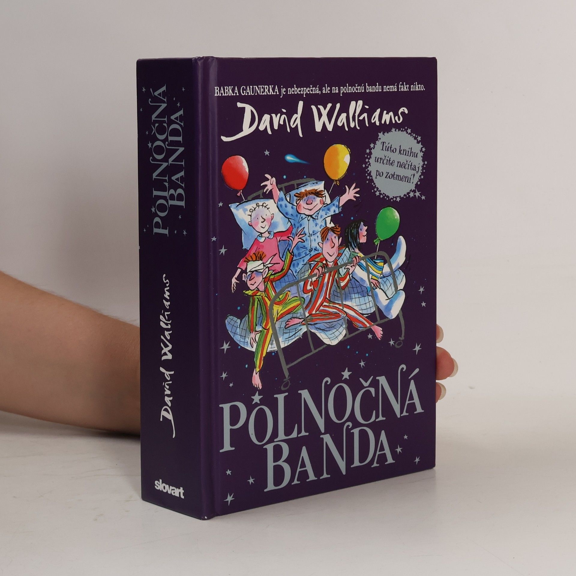 David Walliams Polnočná banda