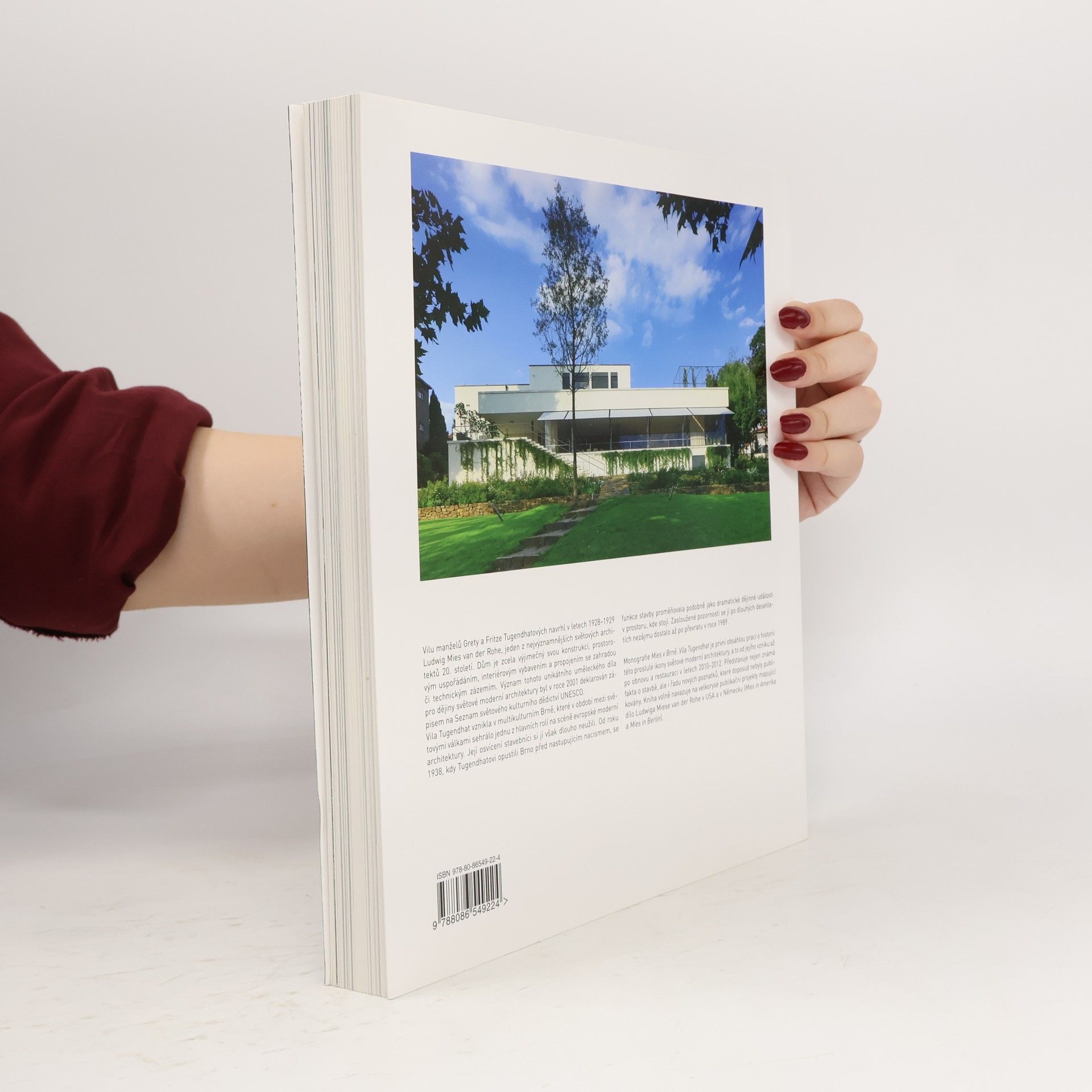 Iveta Černá Mies v Brně : vila Tugendhat
