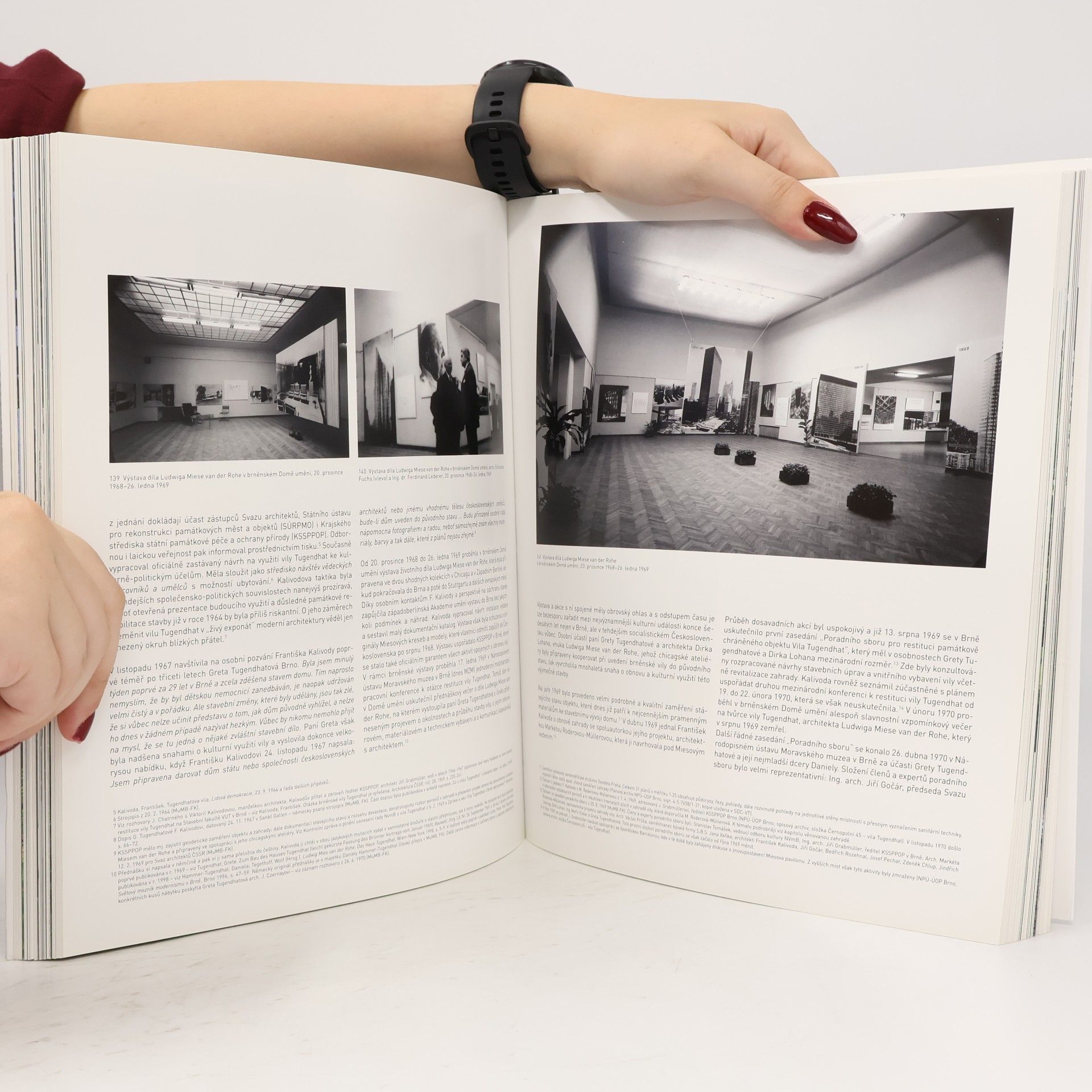 Iveta Černá Mies v Brně : vila Tugendhat