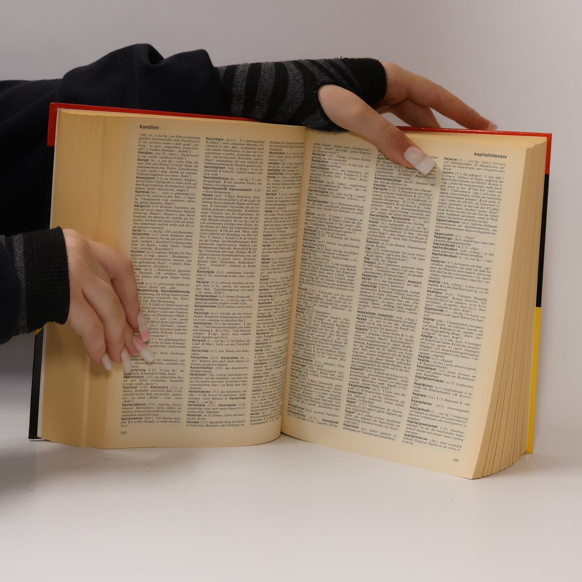 Hans Joachim Störig Das grosse Wörterbuch der deutschen Sprache