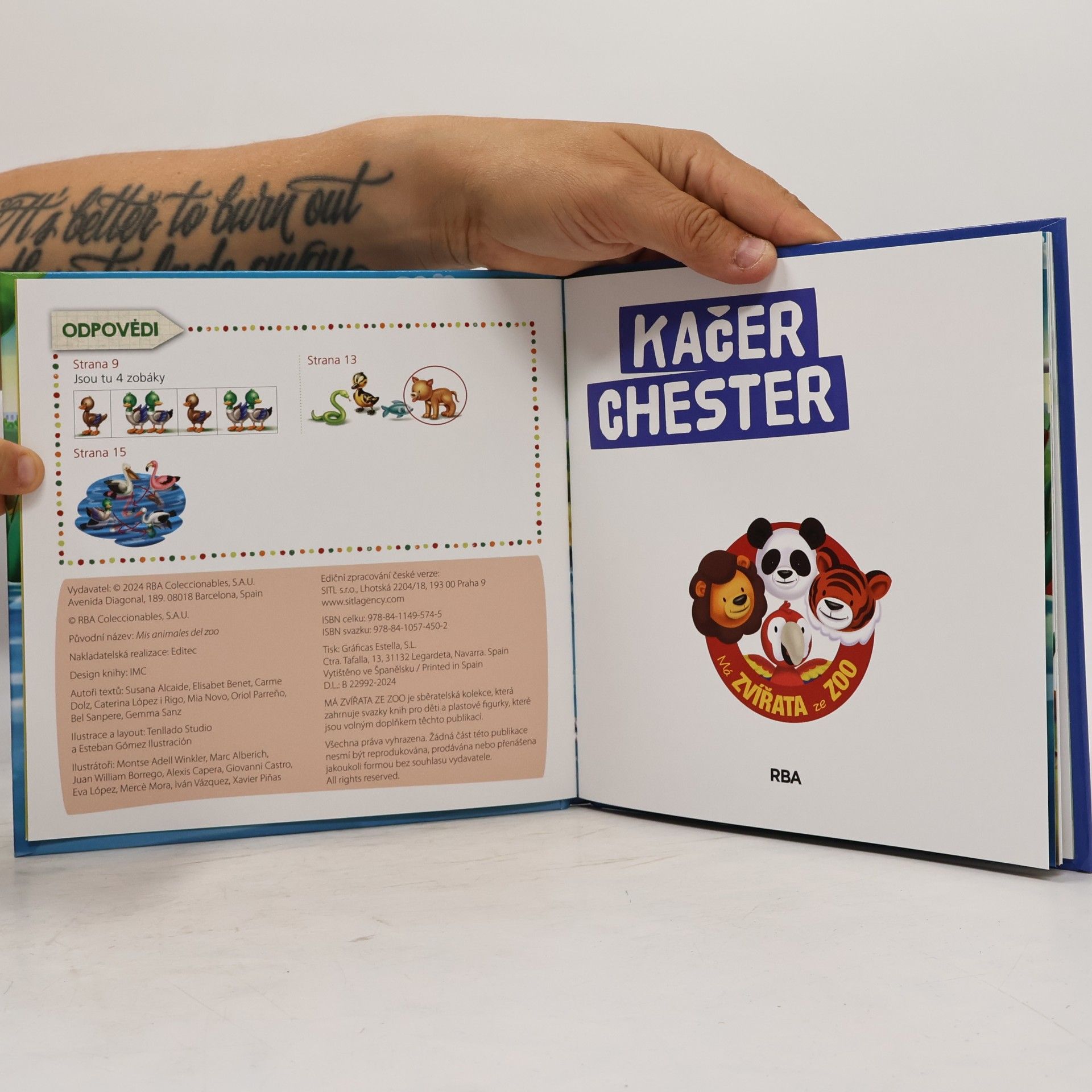 Susana Alcaide Kačer Chester