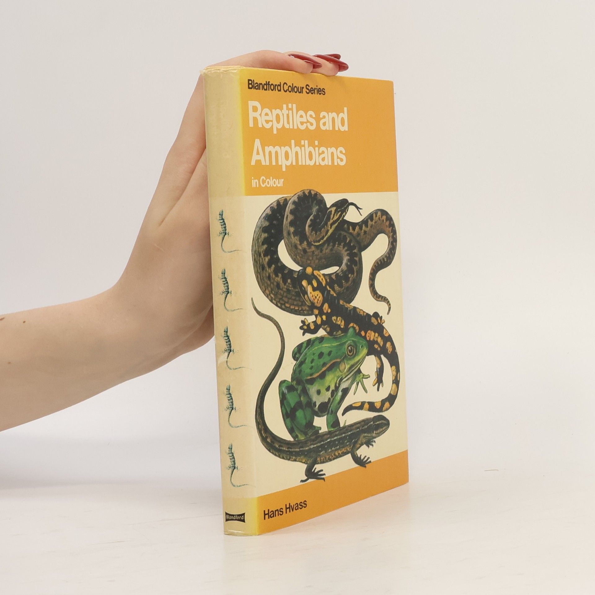 Reptiles and Amphibians in Colour