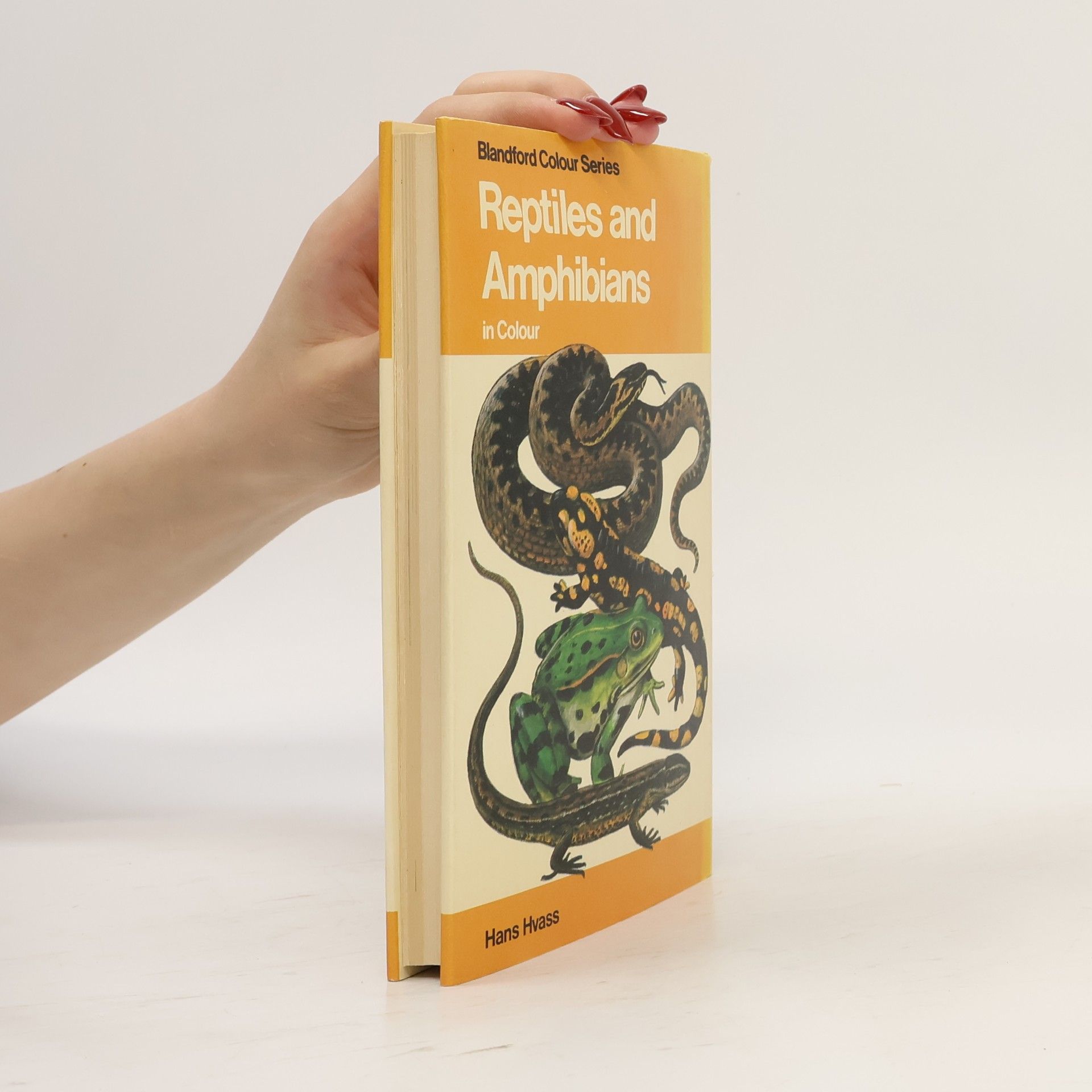 Gwynne Vevers Reptiles and Amphibians in Colour