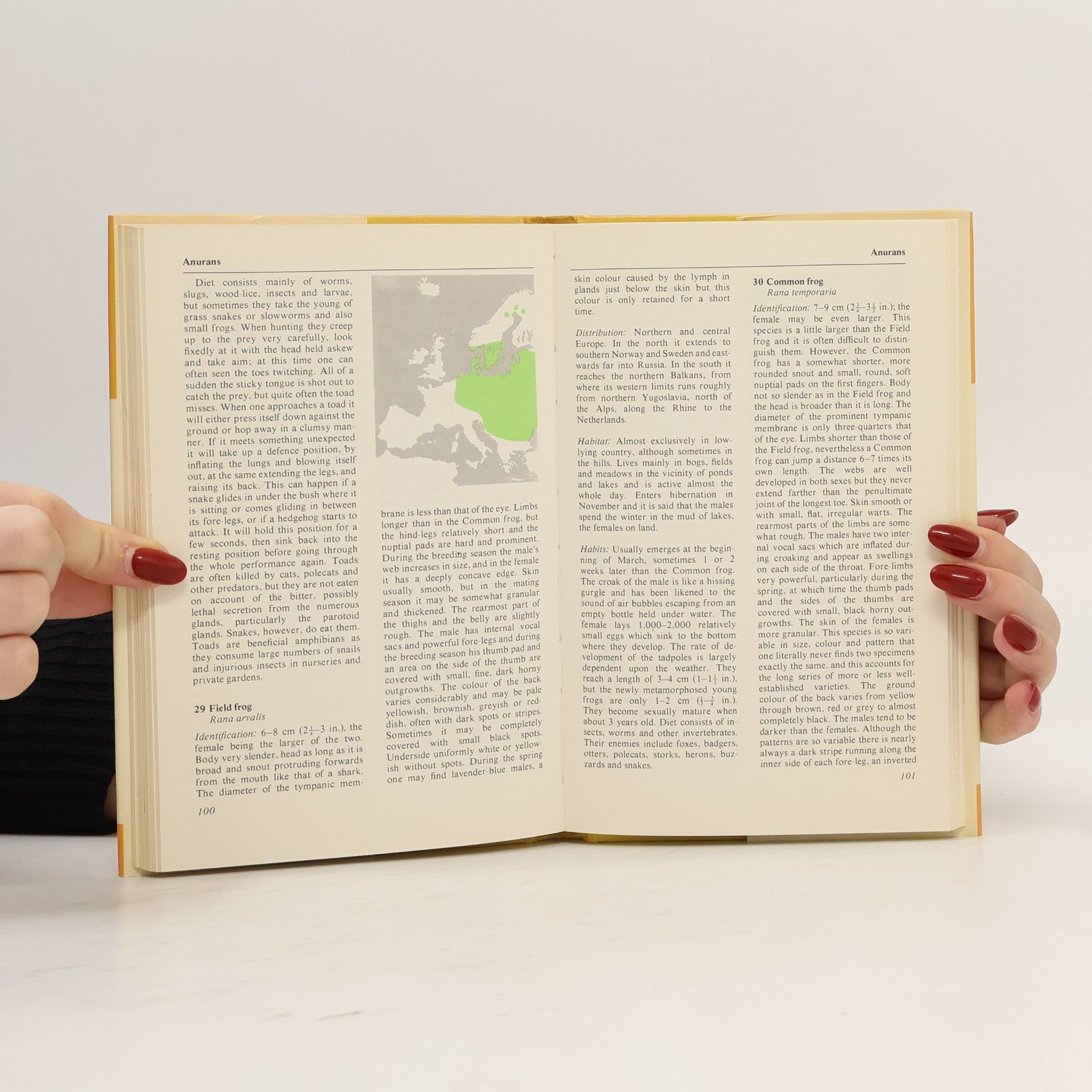 Gwynne Vevers Reptiles and Amphibians in Colour