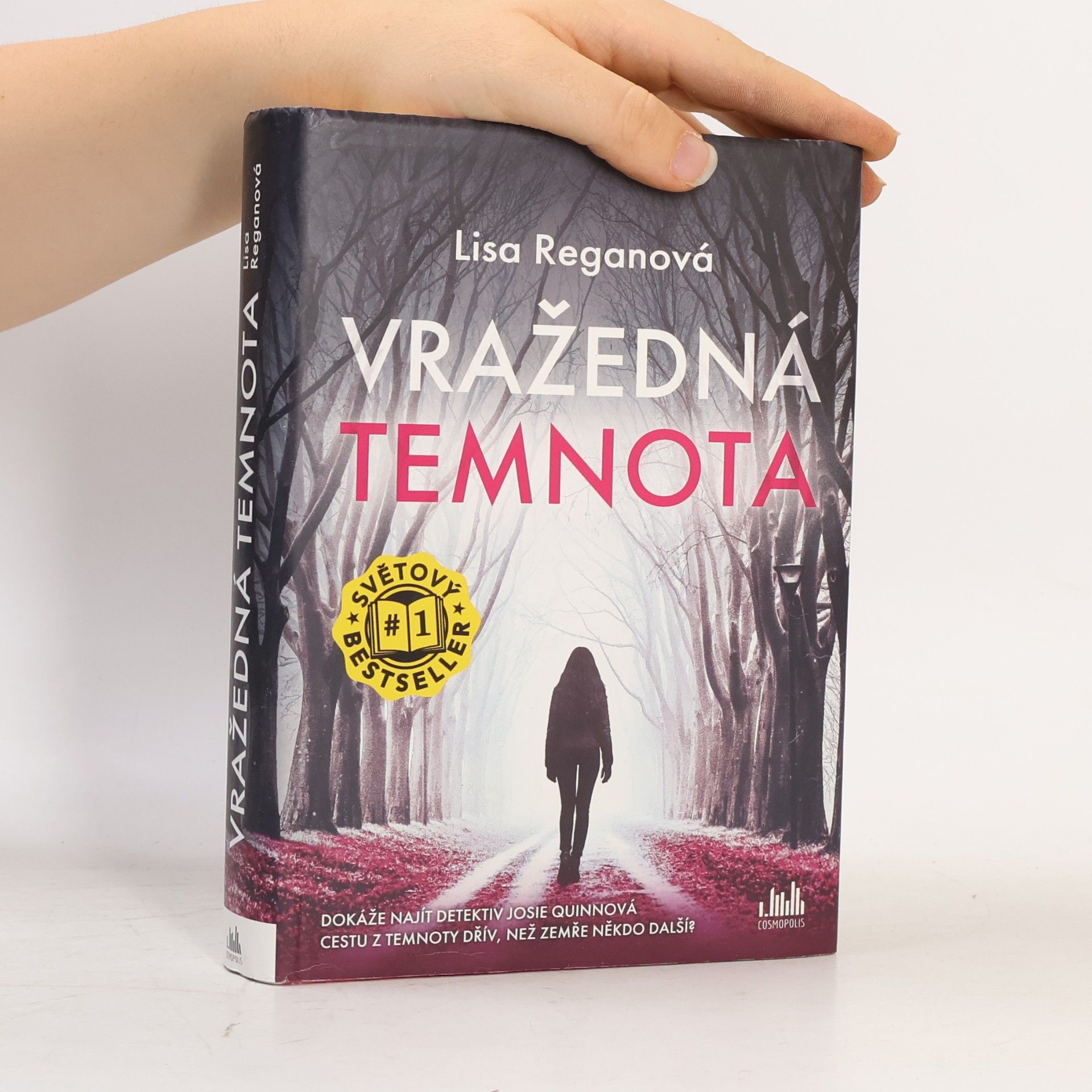 Lisa Regan Vražedná temnota