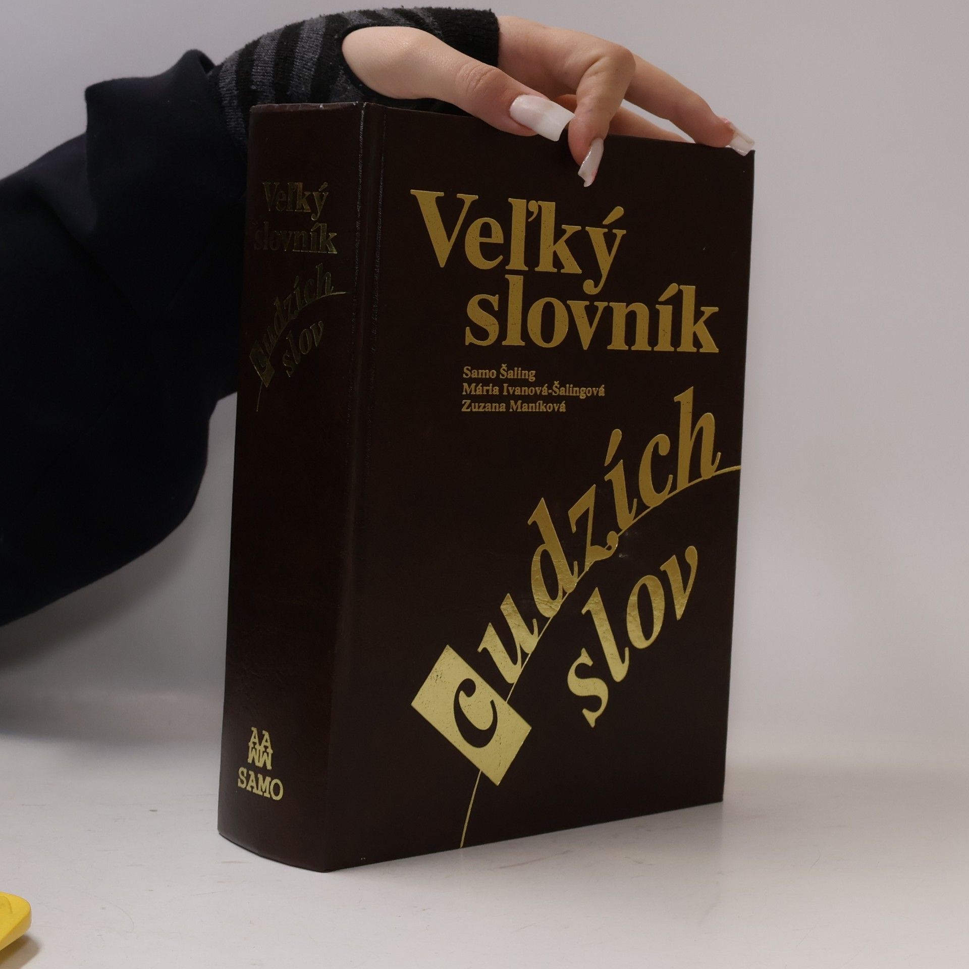 Zuzana Maníková Veľký slovník cudzích slov