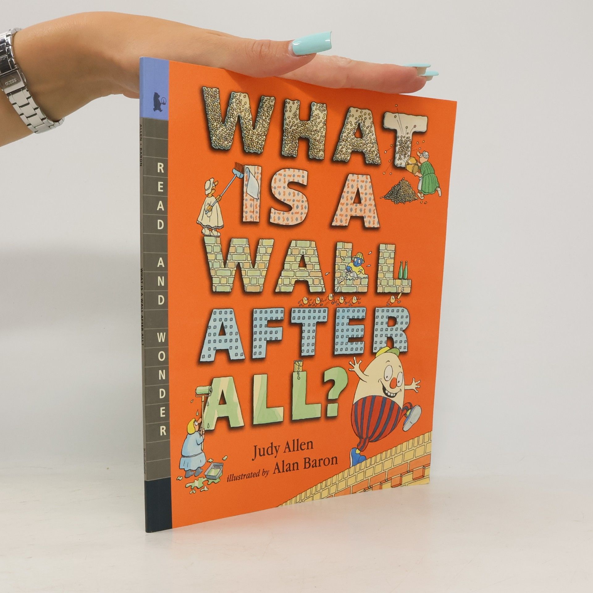 Judy Allen What is a Wall, After All?