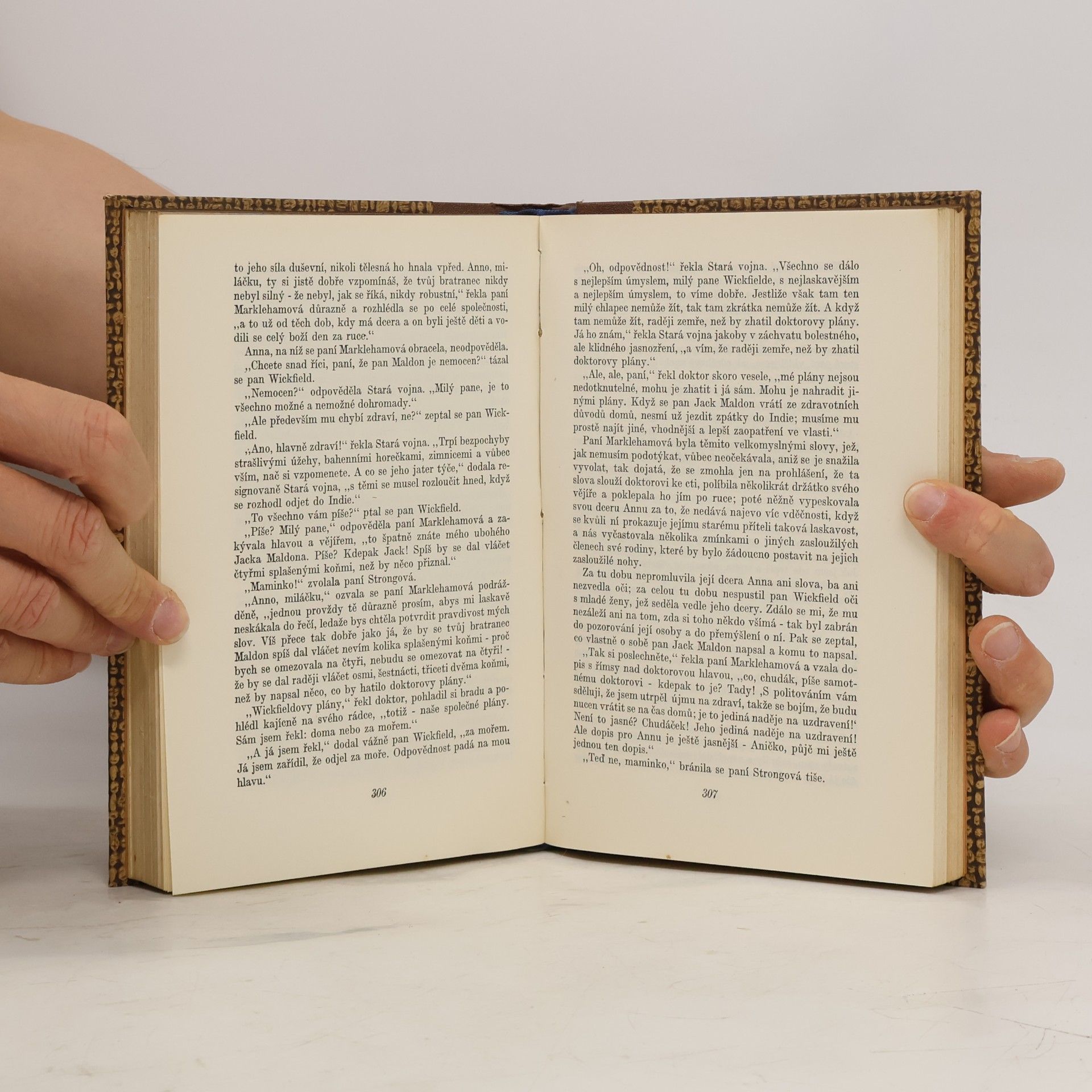 Charles Dickens Příběh Davida Copperfielda I