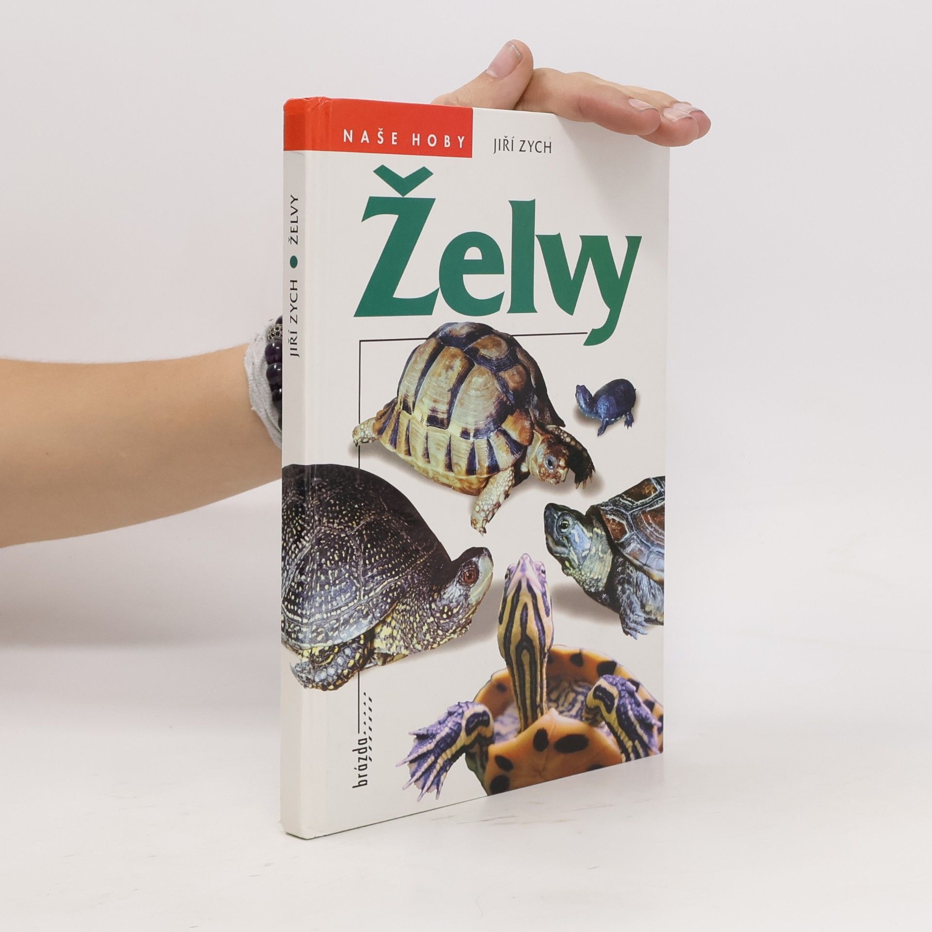 Jiří Zych Želvy