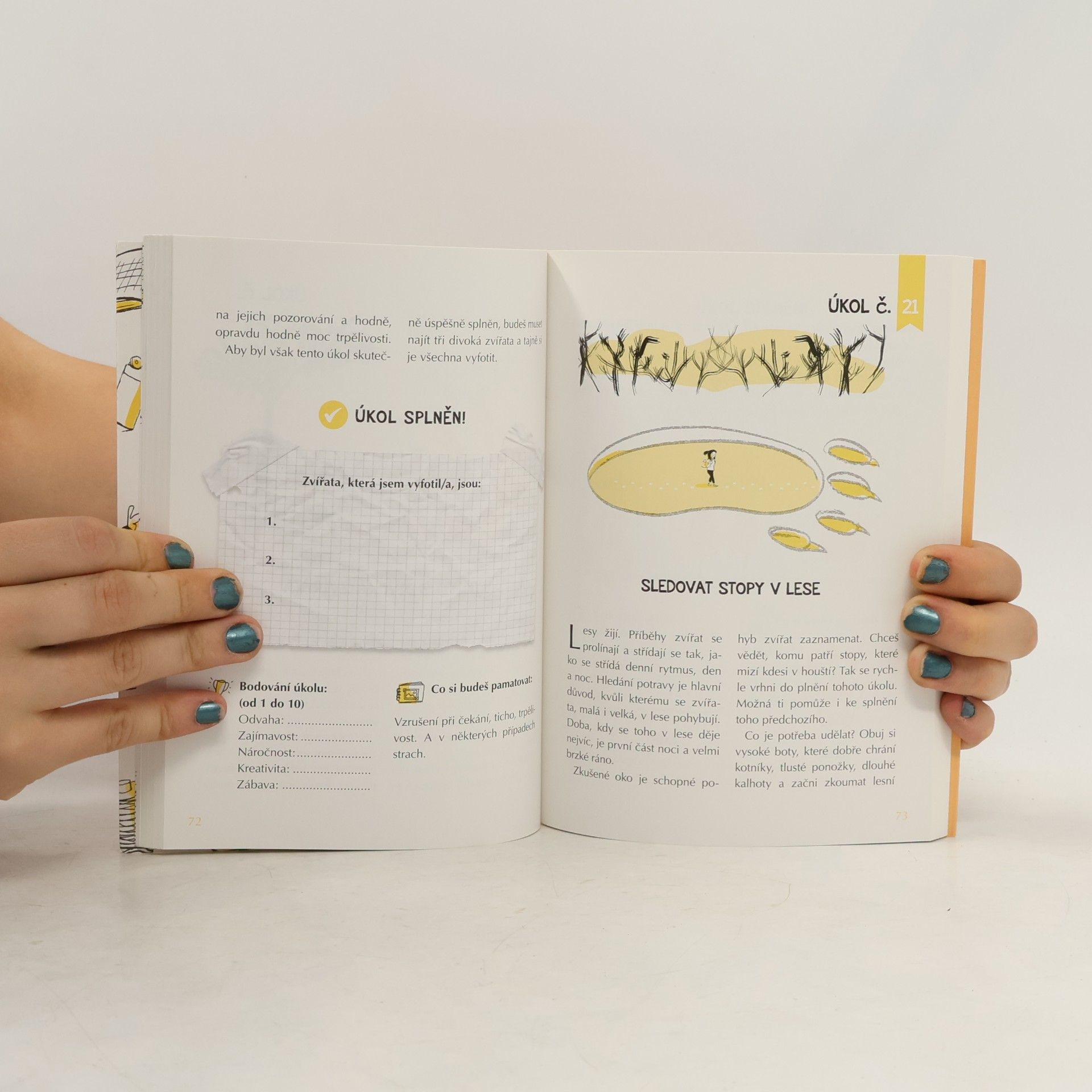Autorenkollektiv 50 dobrodružství, která musíte zažít, než vám bude 14