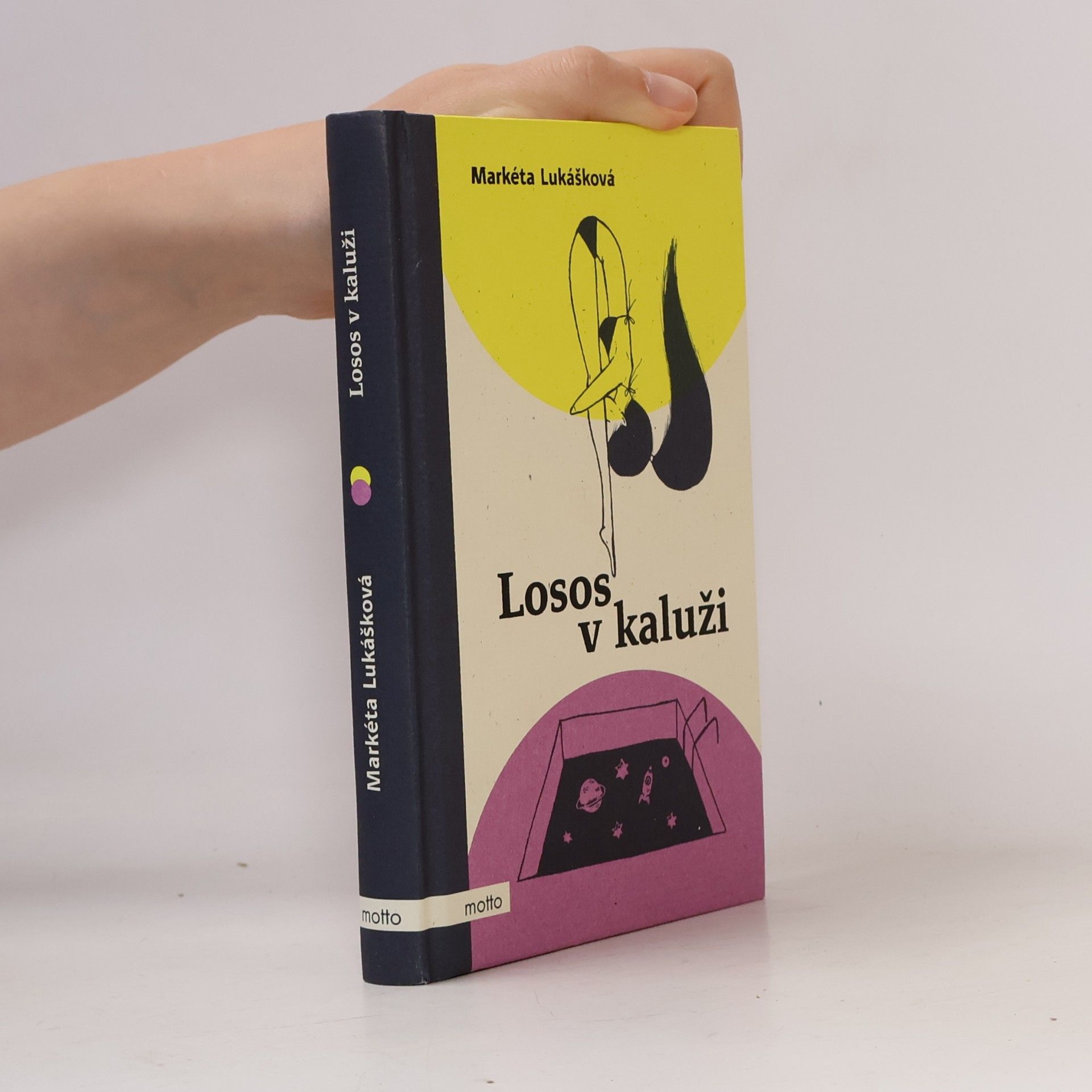 Markéta Lukášková Losos v kaluži