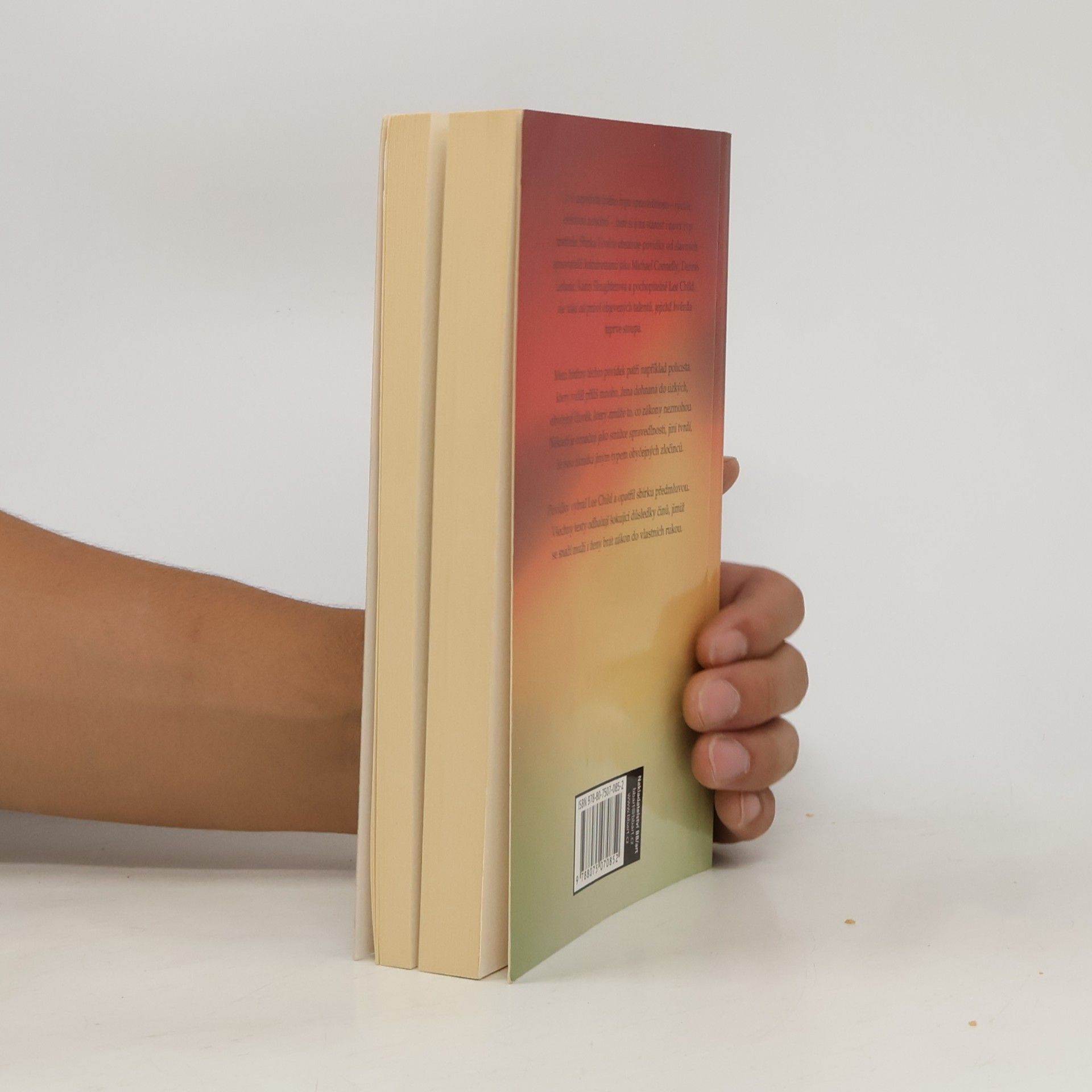 Lee Child Vendeta. Jednadvacet způsobů pomsty