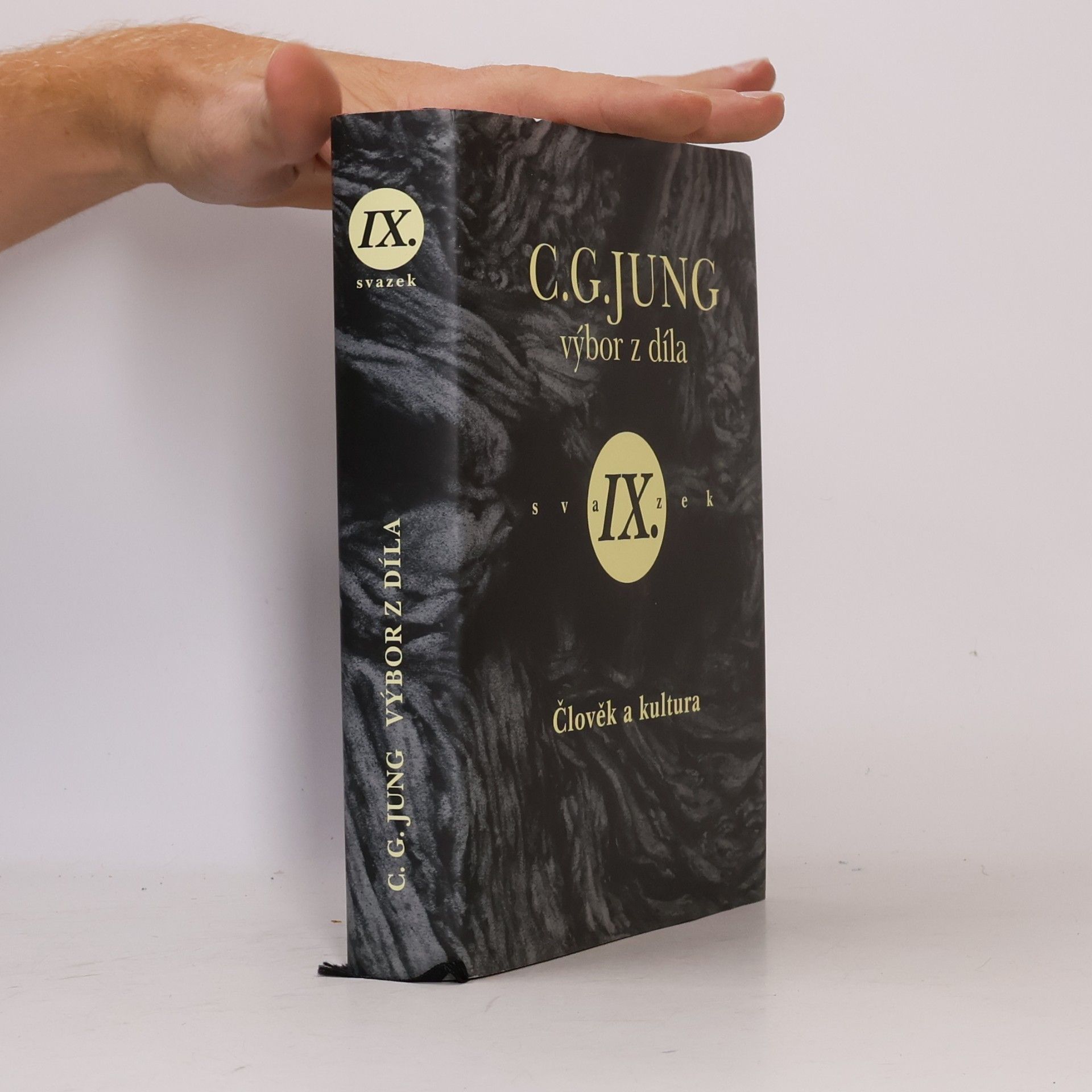 Carl Gustav Jung Výbor z díla IX.
