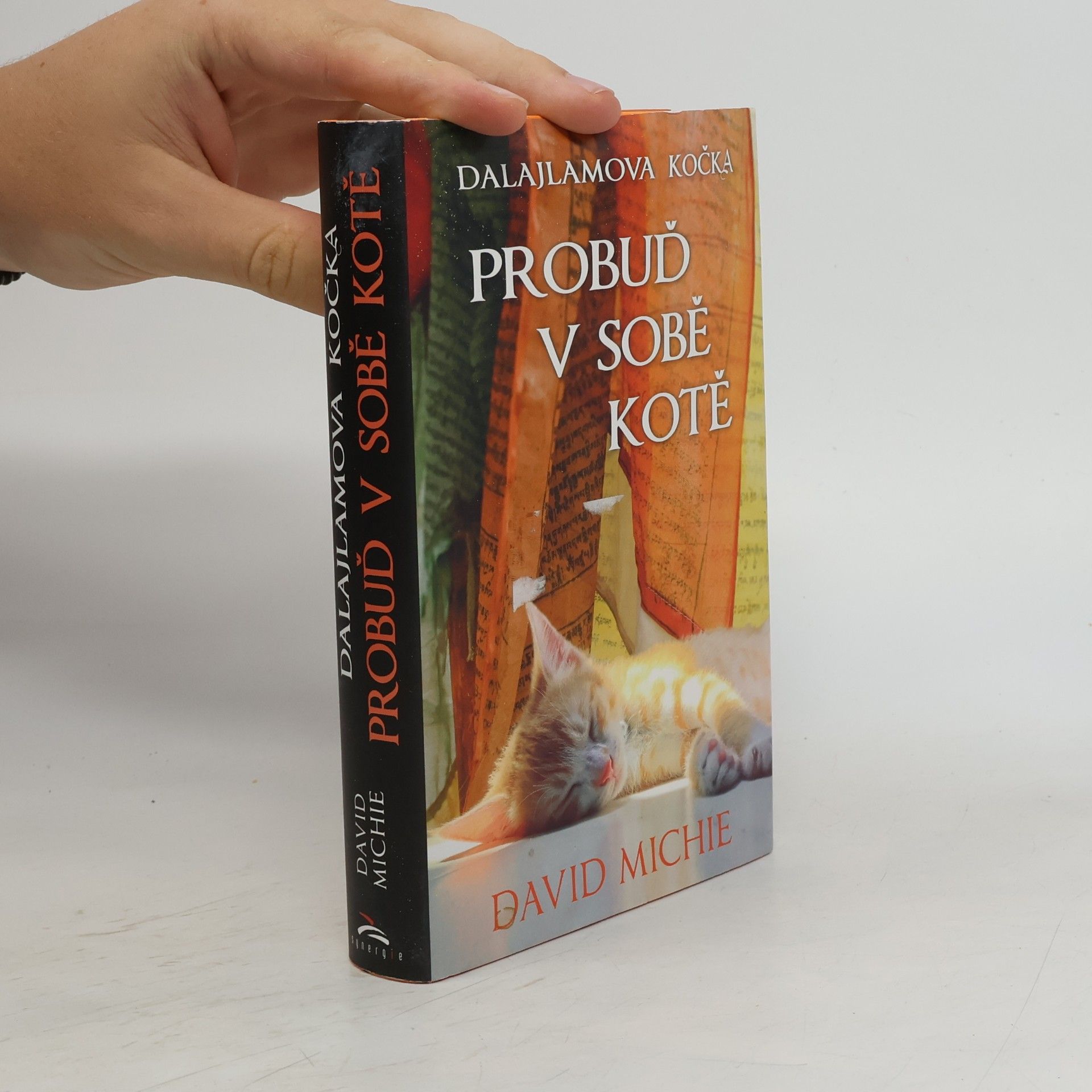 David Michie Dalajlamova kočka - probuď v sobě kotě