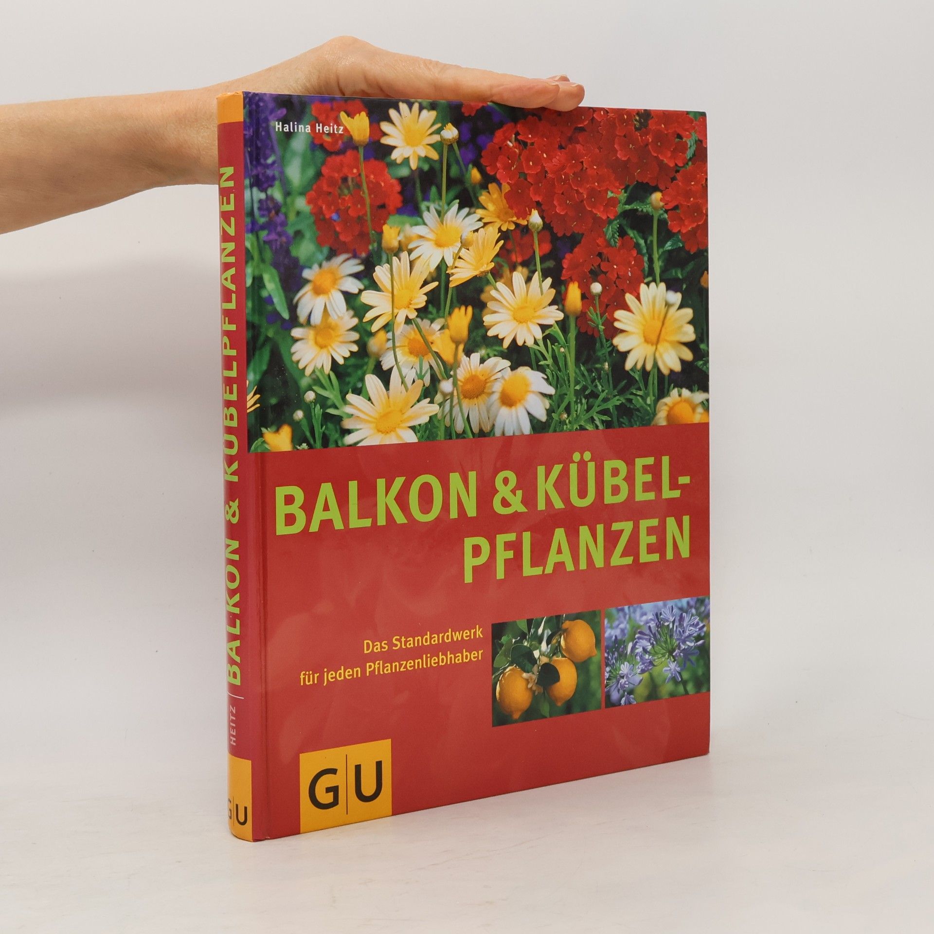 Halina Heitz Balkon und Kübelpflanzen