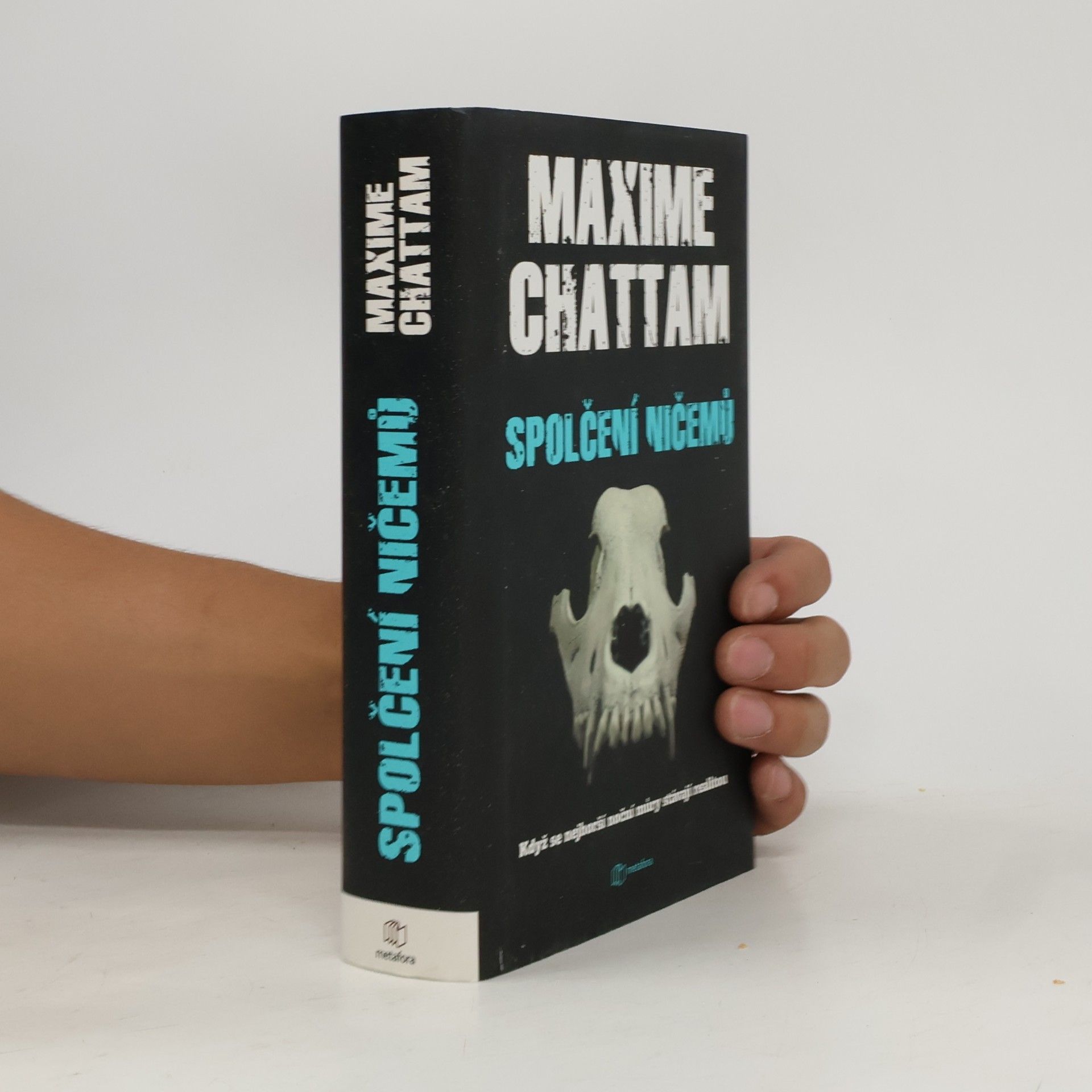 Maxime Chattam Spolčení ničemů