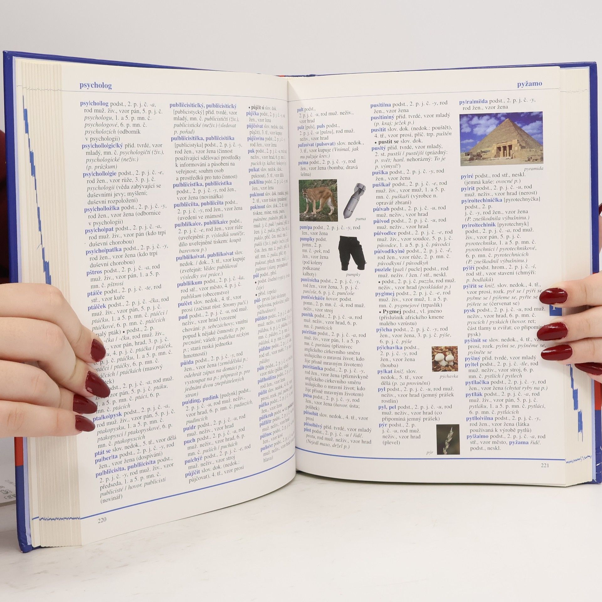 Autorenkollektiv Fraus ilustrovaný školní slovník českého jazyka