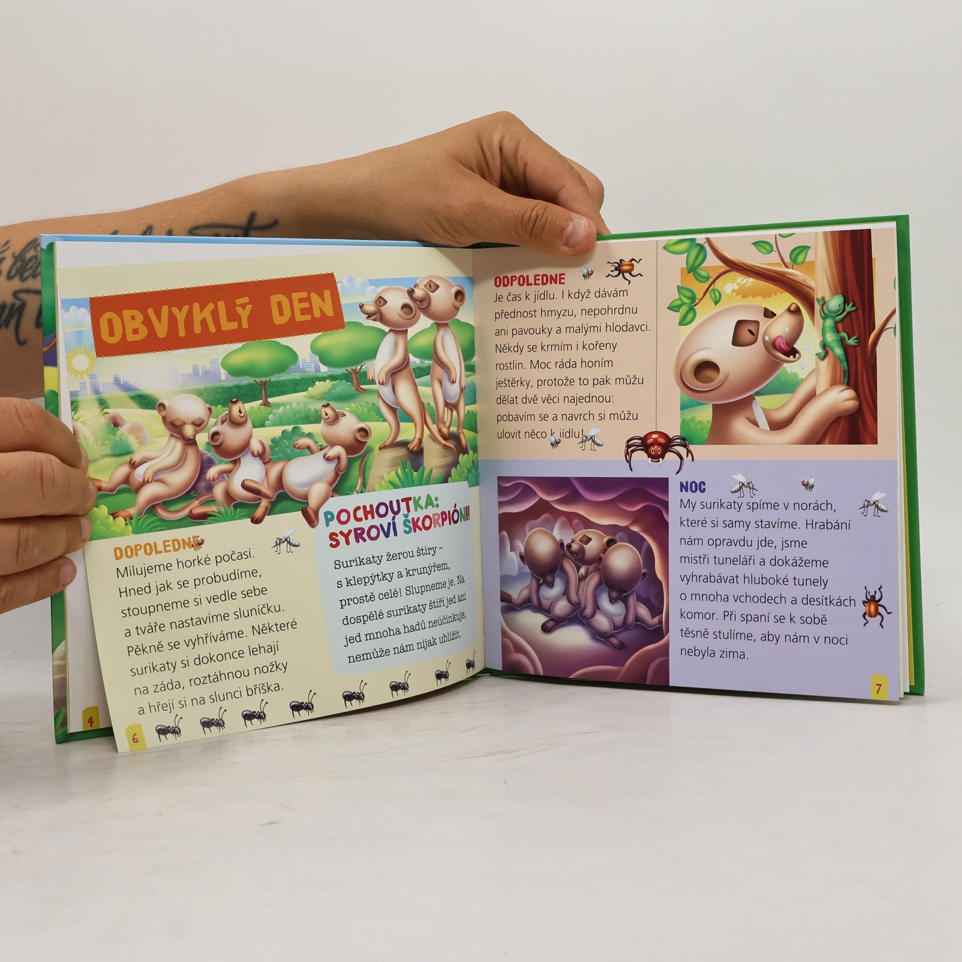 Various authors Surikata Matisa