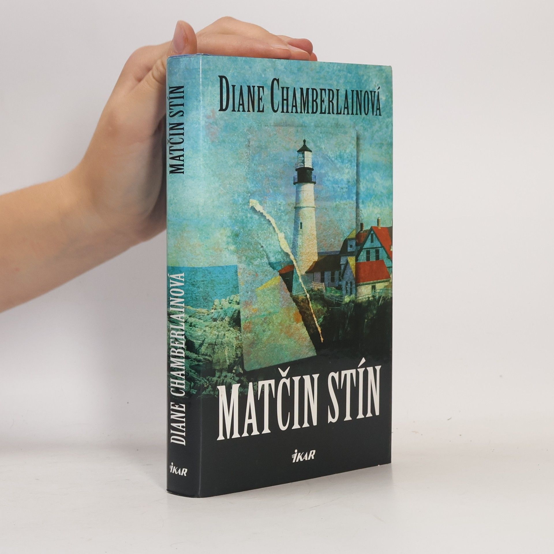 Diane Chamberlain Matčin stín