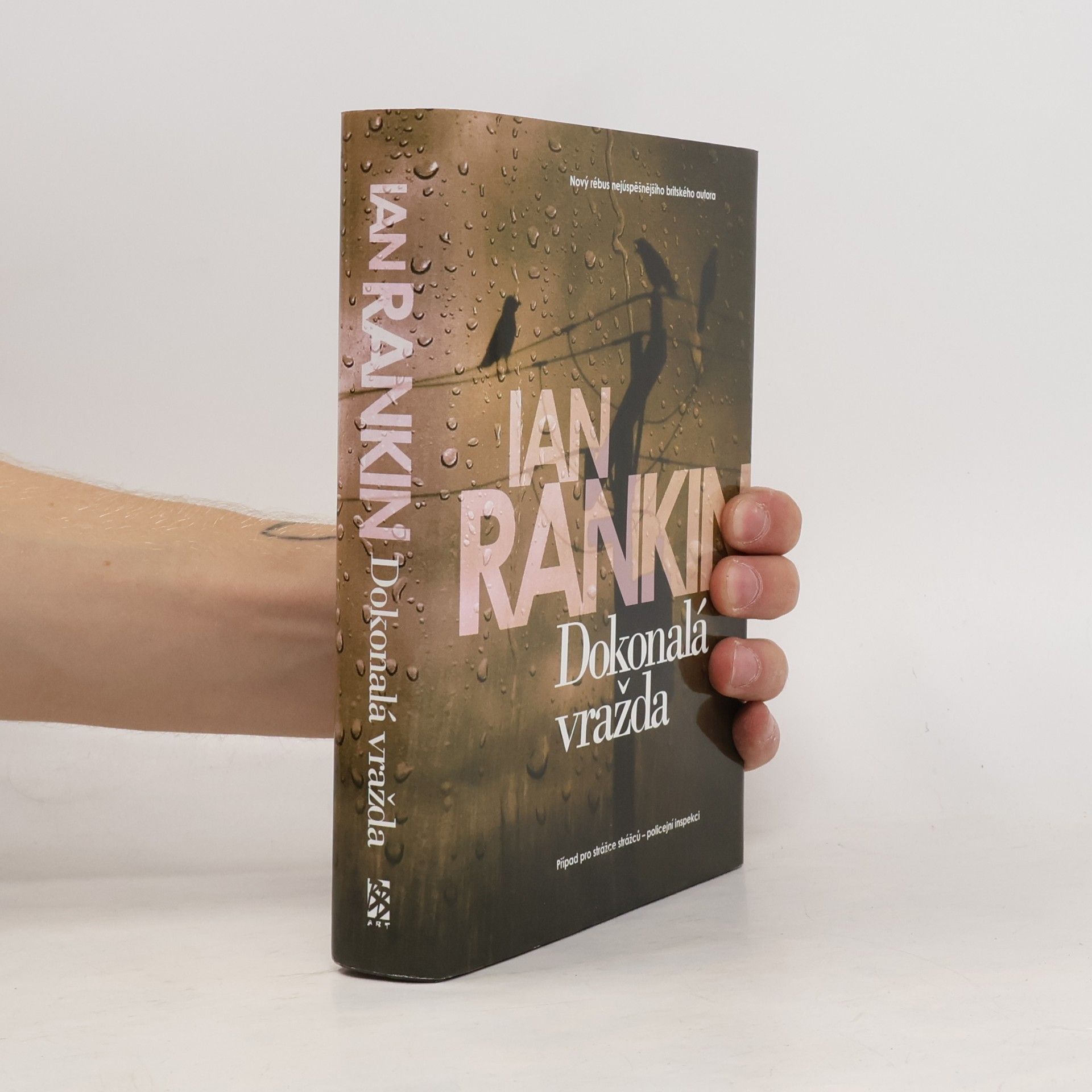 Ian Rankin Dokonalá vražda