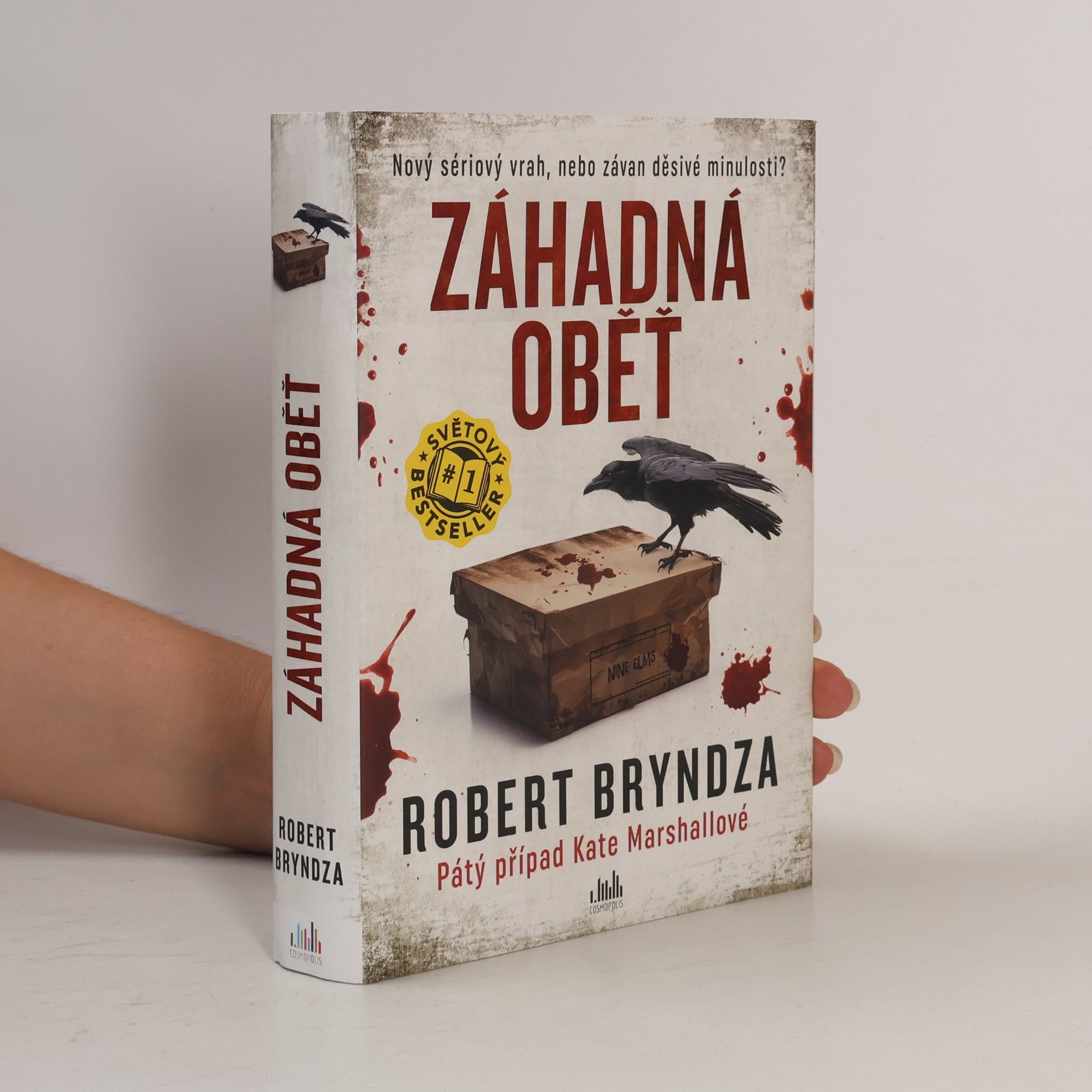 Robert Bryndza Záhadná oběť
