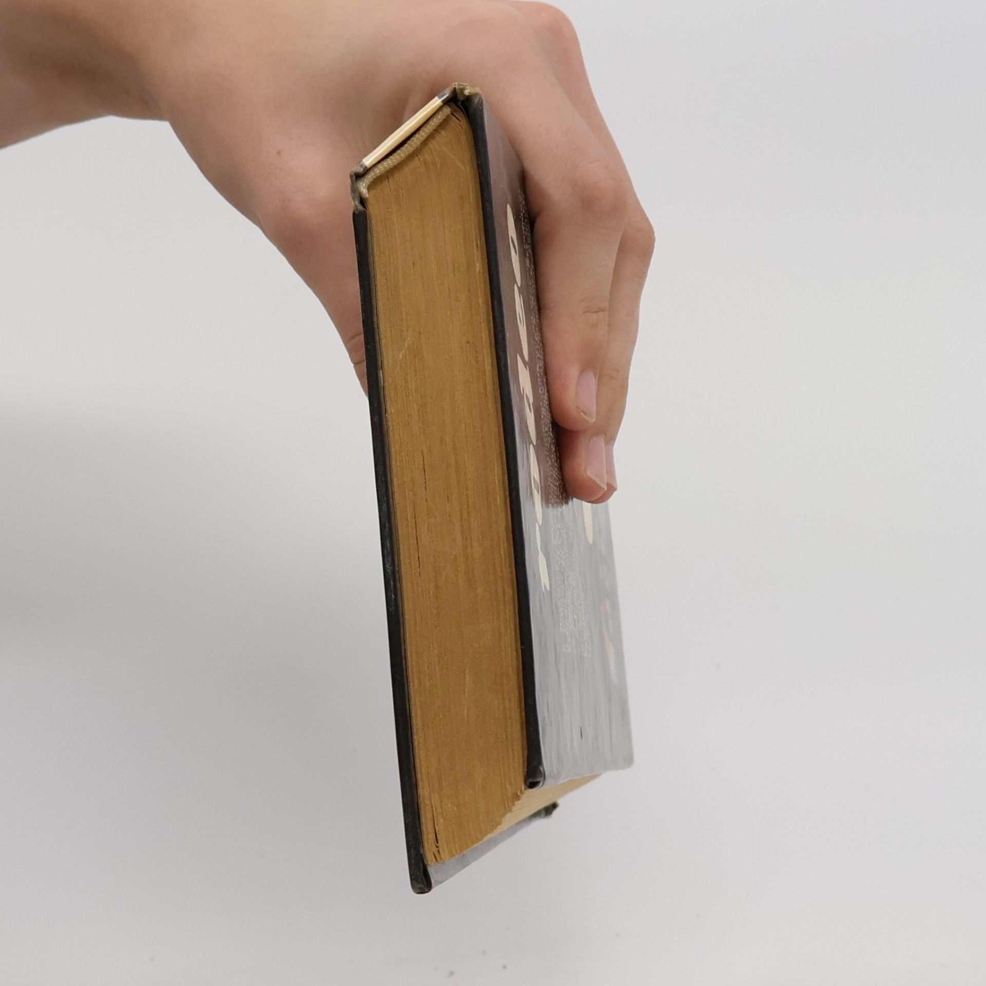 Gabriel Ferry Jazdci zo Zlatej kotliny 2
