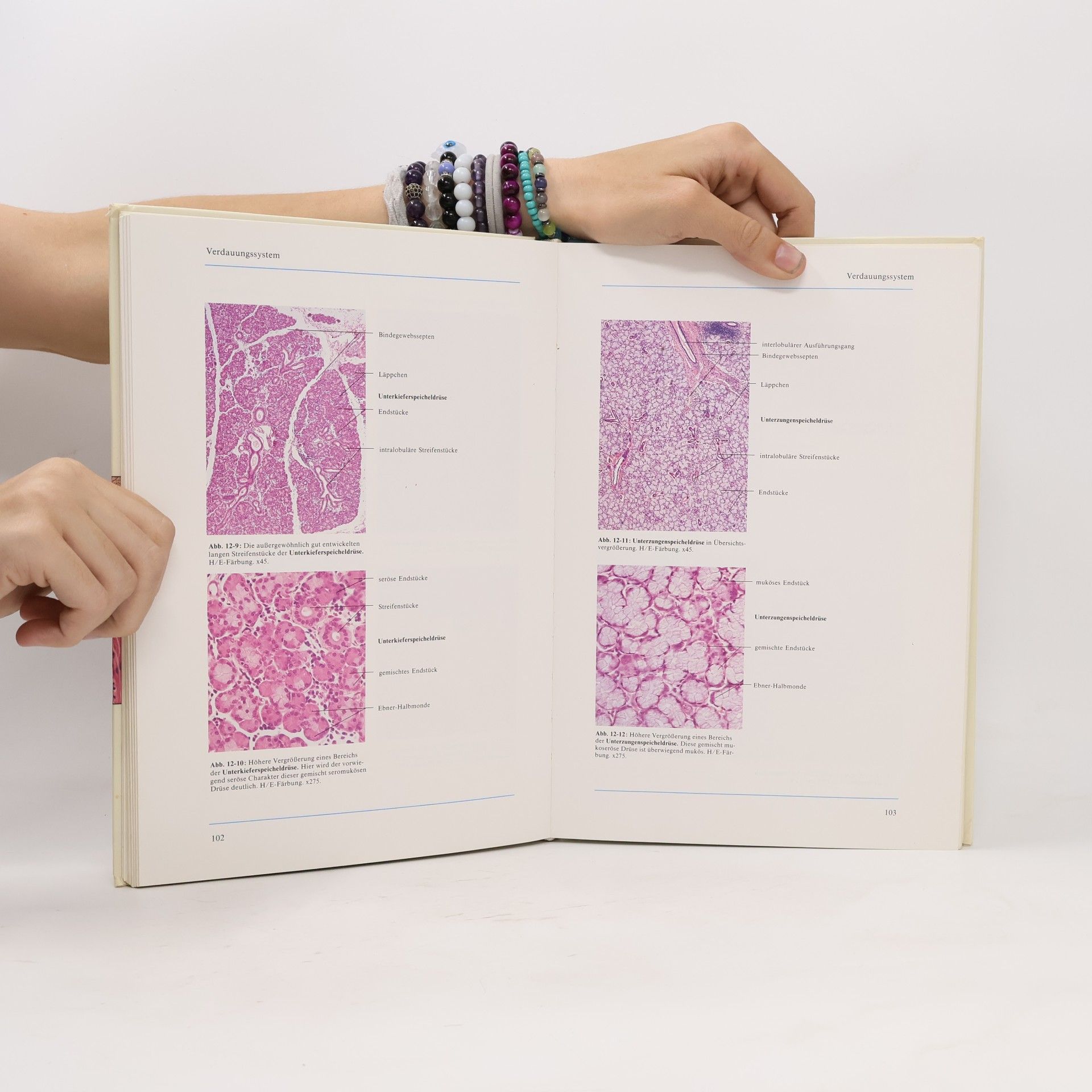 F. Geneser Farbatlas der Histologie