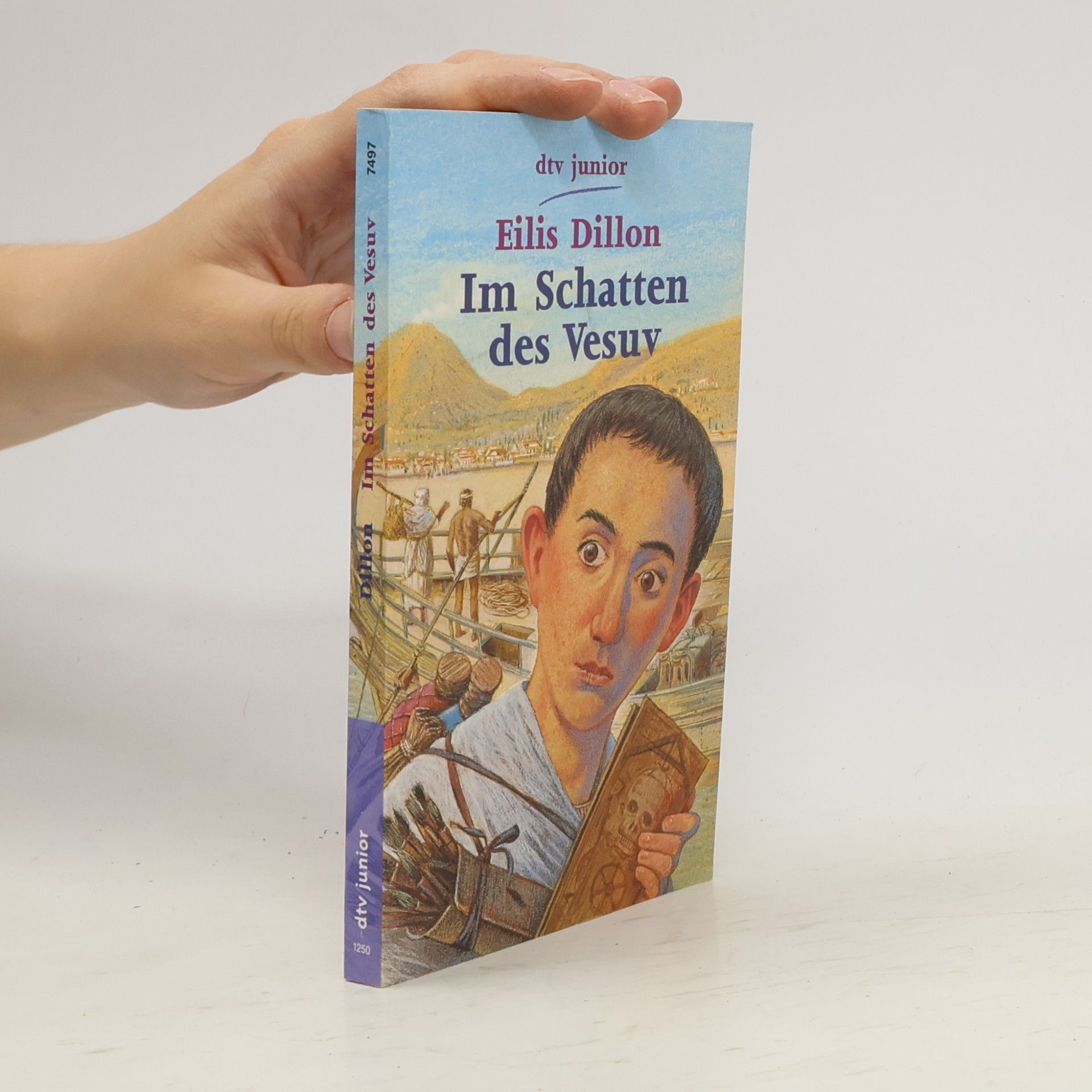 Eilís Dillon Im Schatten des Vesuv