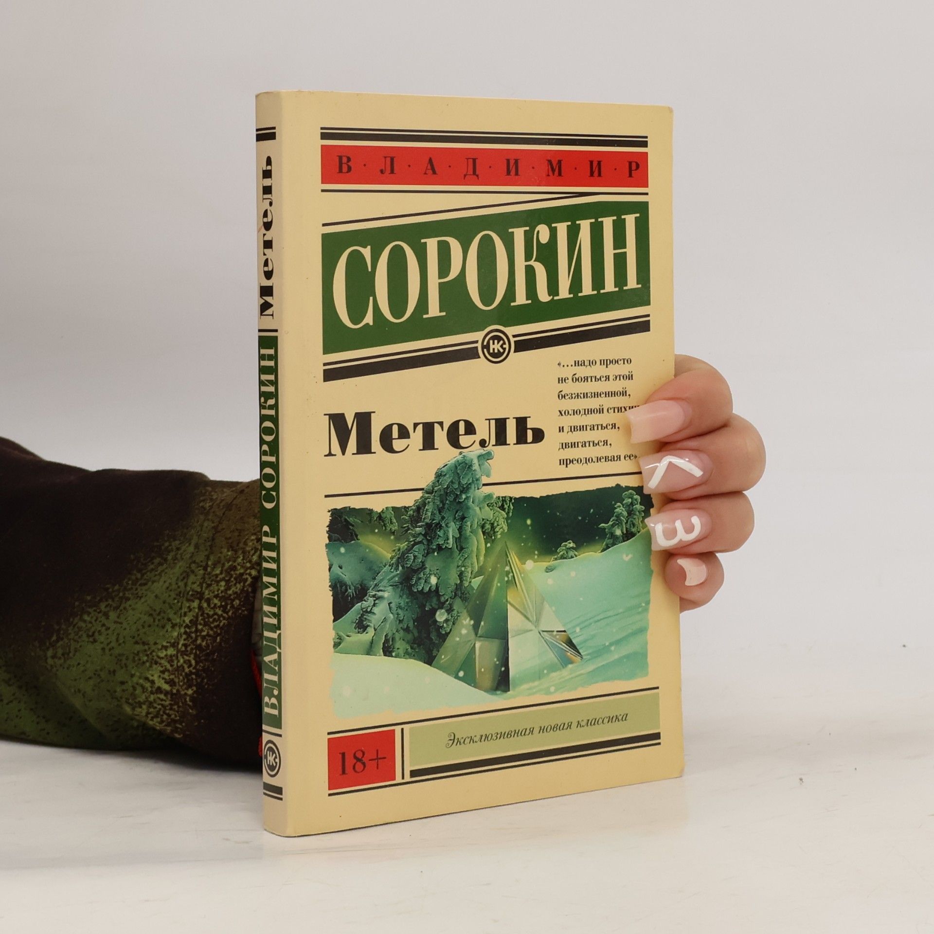 Wladimir Georgijewitsch Sorokin Эксклюзивная новая классика: Метель